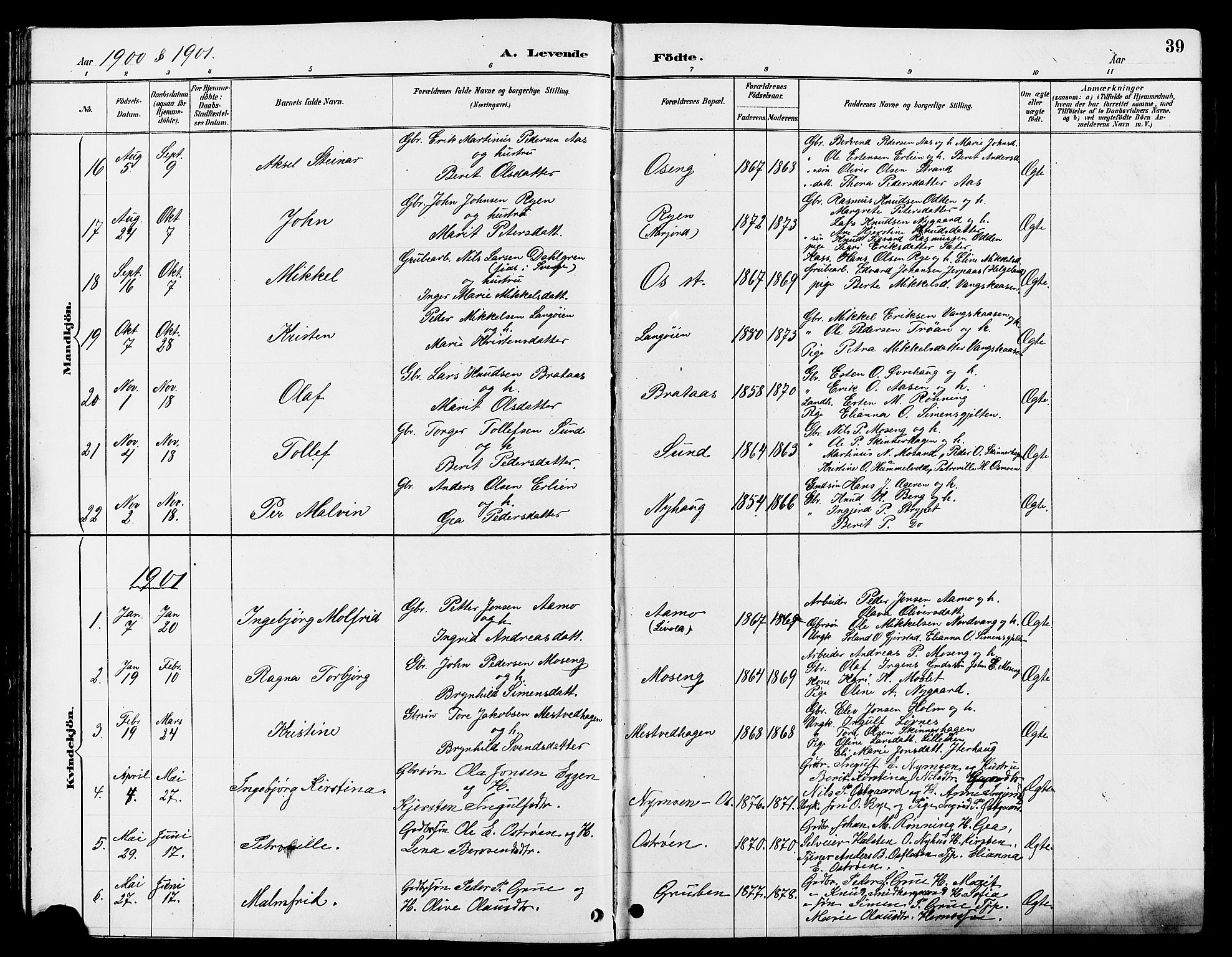 Tolga prestekontor, AV/SAH-PREST-062/L/L0008: Parish register (copy) no. 8, 1887-1912, p. 39