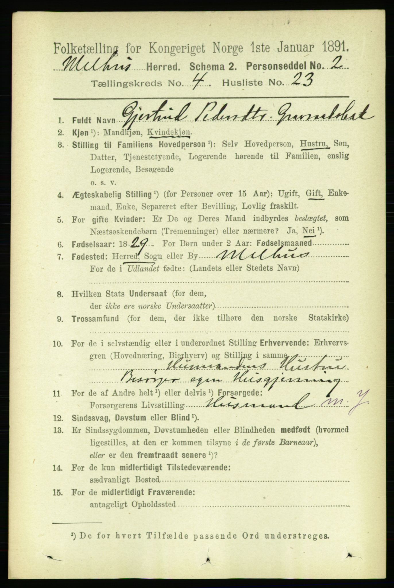 RA, 1891 census for 1653 Melhus, 1891, p. 2080