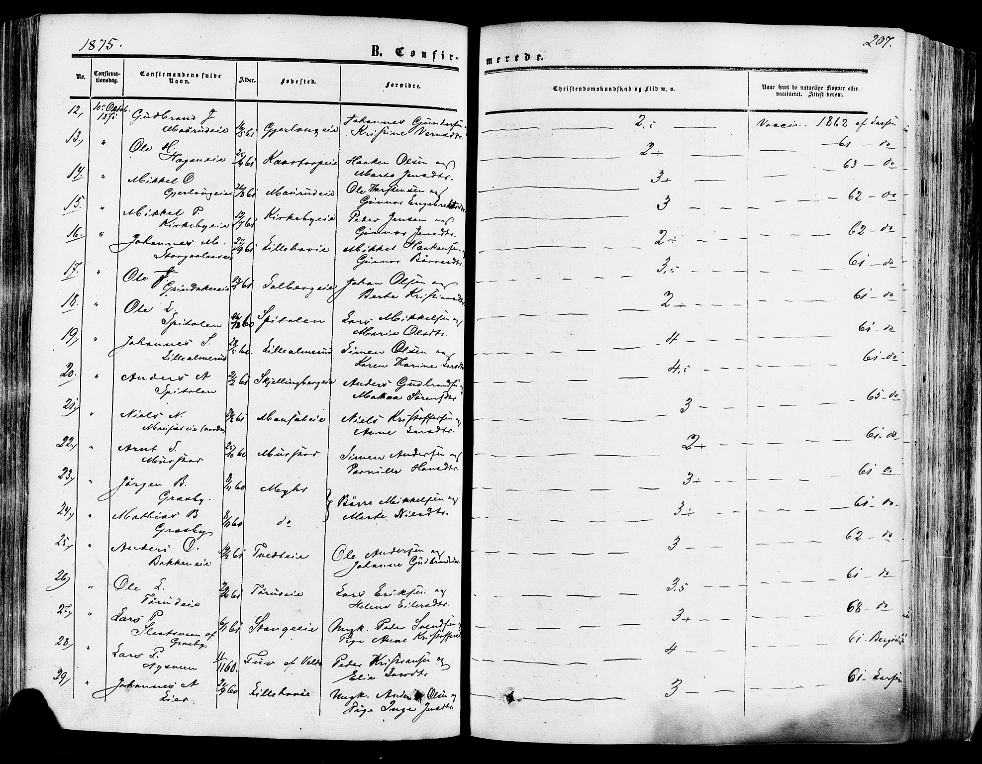 Vang prestekontor, Hedmark, SAH/PREST-008/H/Ha/Haa/L0013: Parish register (official) no. 13, 1855-1879, p. 207