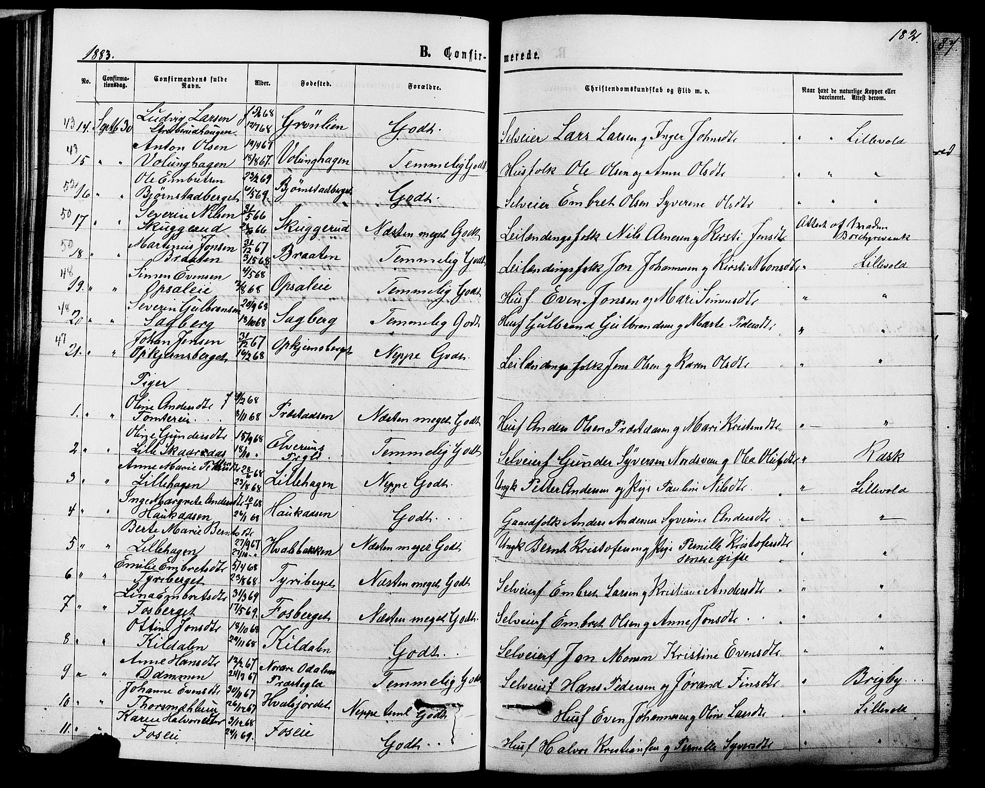 Romedal prestekontor, SAH/PREST-004/K/L0006: Parish register (official) no. 6, 1866-1886, p. 182