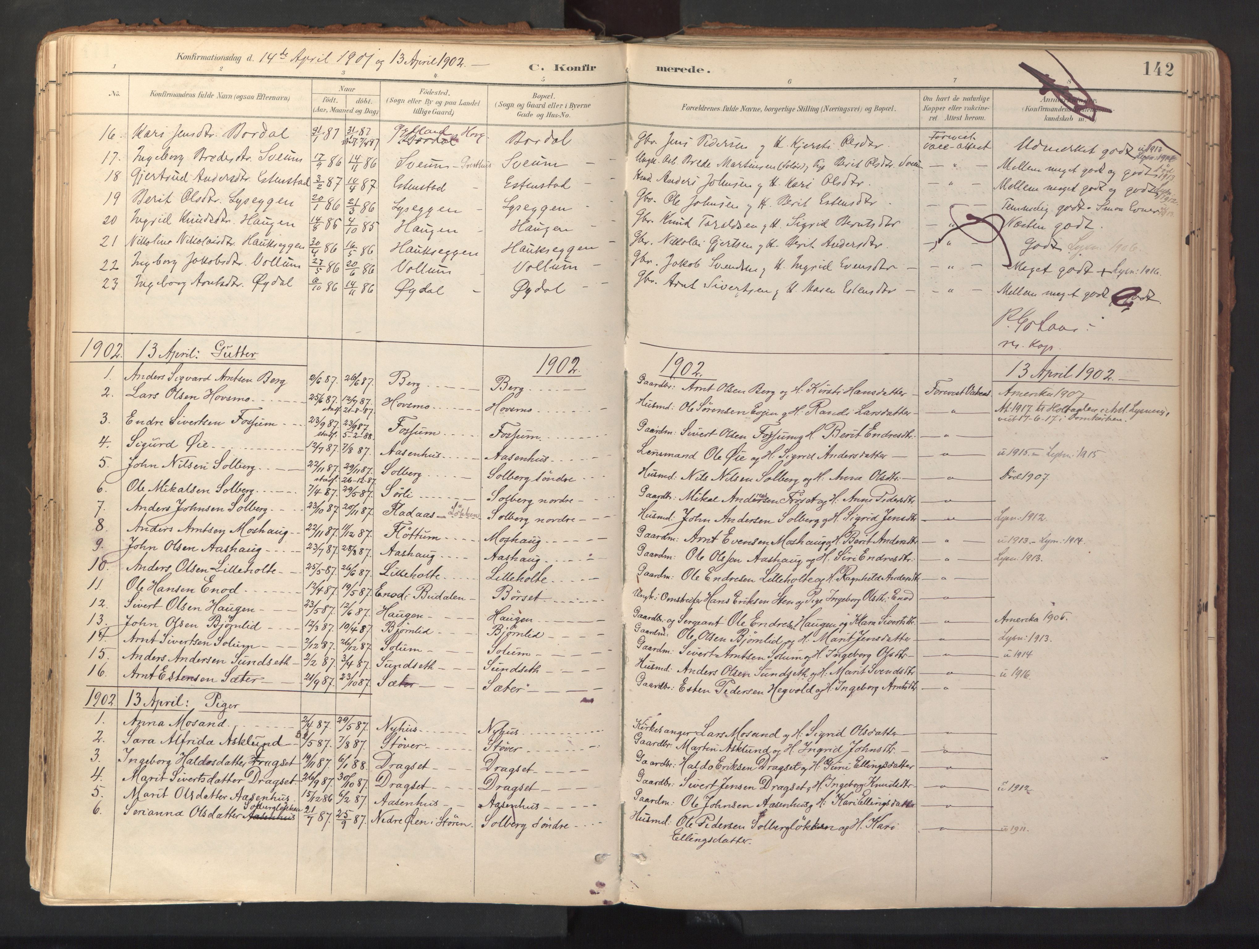 Ministerialprotokoller, klokkerbøker og fødselsregistre - Sør-Trøndelag, AV/SAT-A-1456/689/L1041: Parish register (official) no. 689A06, 1891-1923, p. 142
