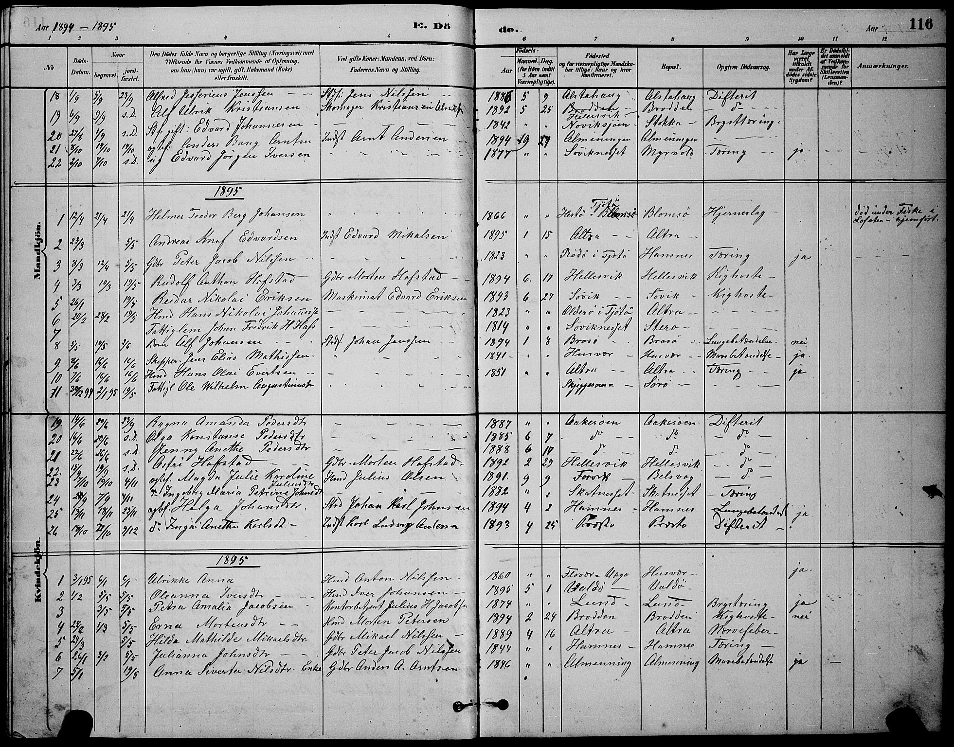 Ministerialprotokoller, klokkerbøker og fødselsregistre - Nordland, AV/SAT-A-1459/830/L0462: Parish register (copy) no. 830C04, 1882-1895, p. 116