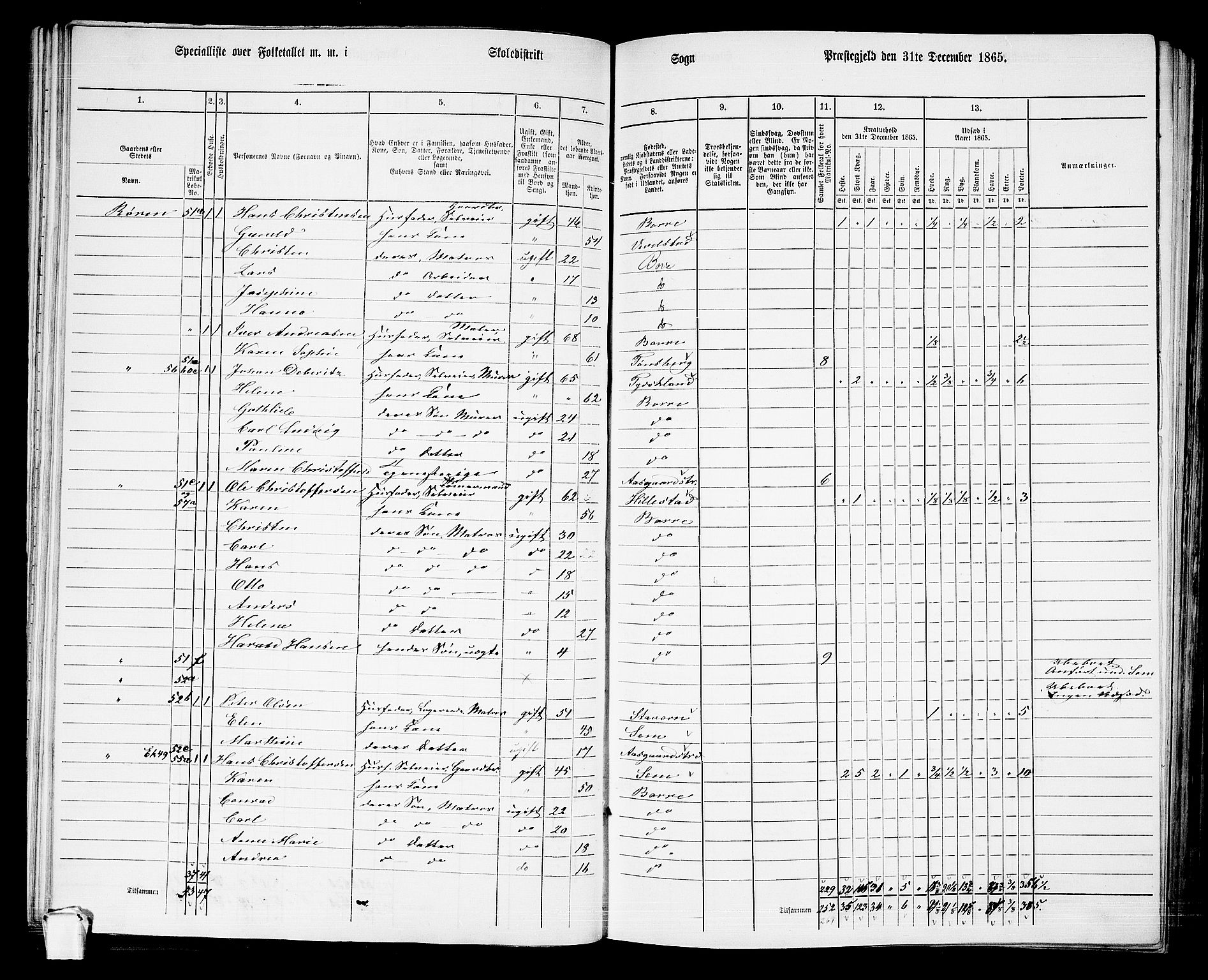 RA, 1865 census for Borre, 1865, p. 71