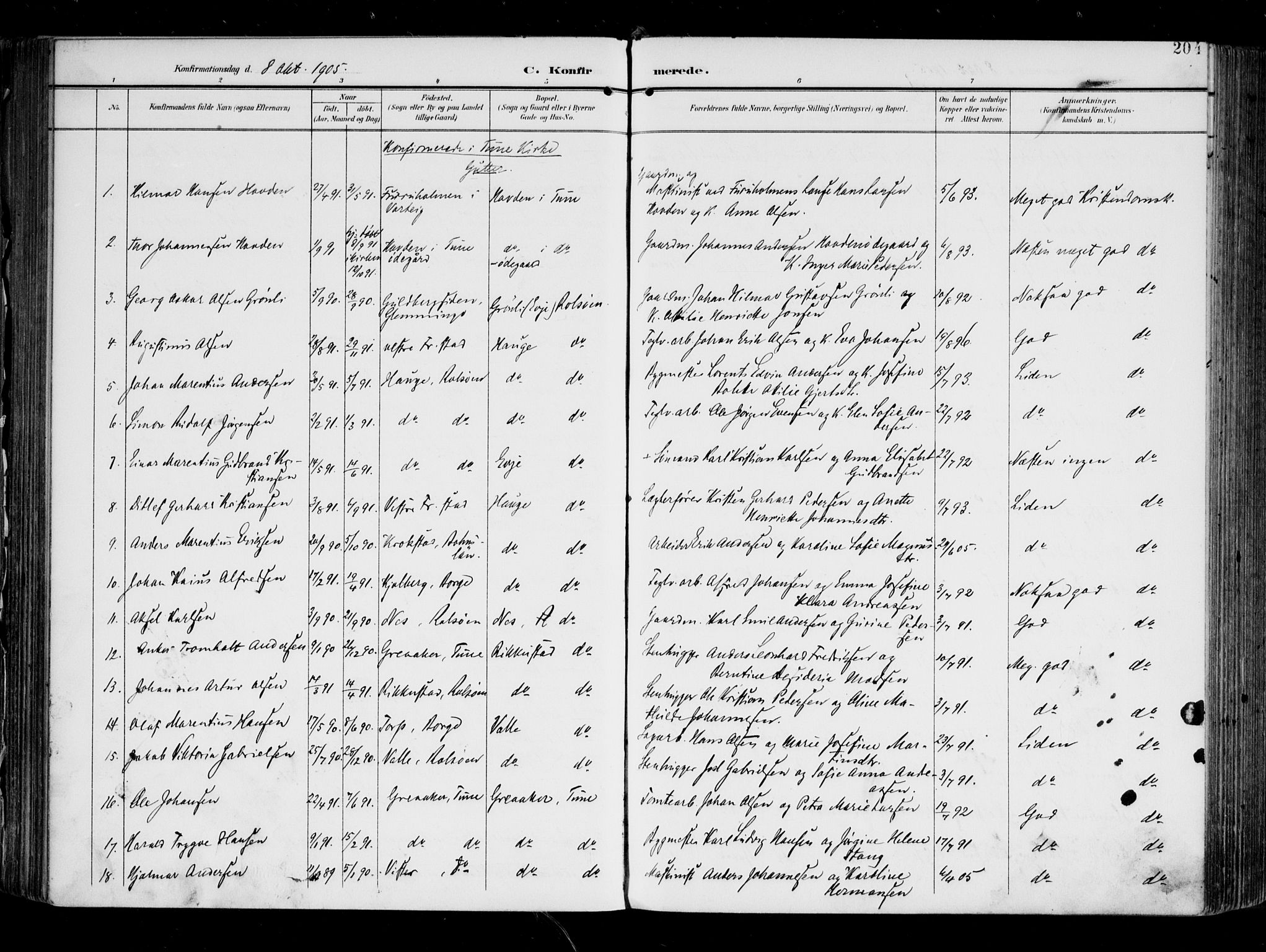 Tune prestekontor Kirkebøker, AV/SAO-A-2007/F/Fa/L0020: Parish register (official) no. 20, 1904-1909, p. 204