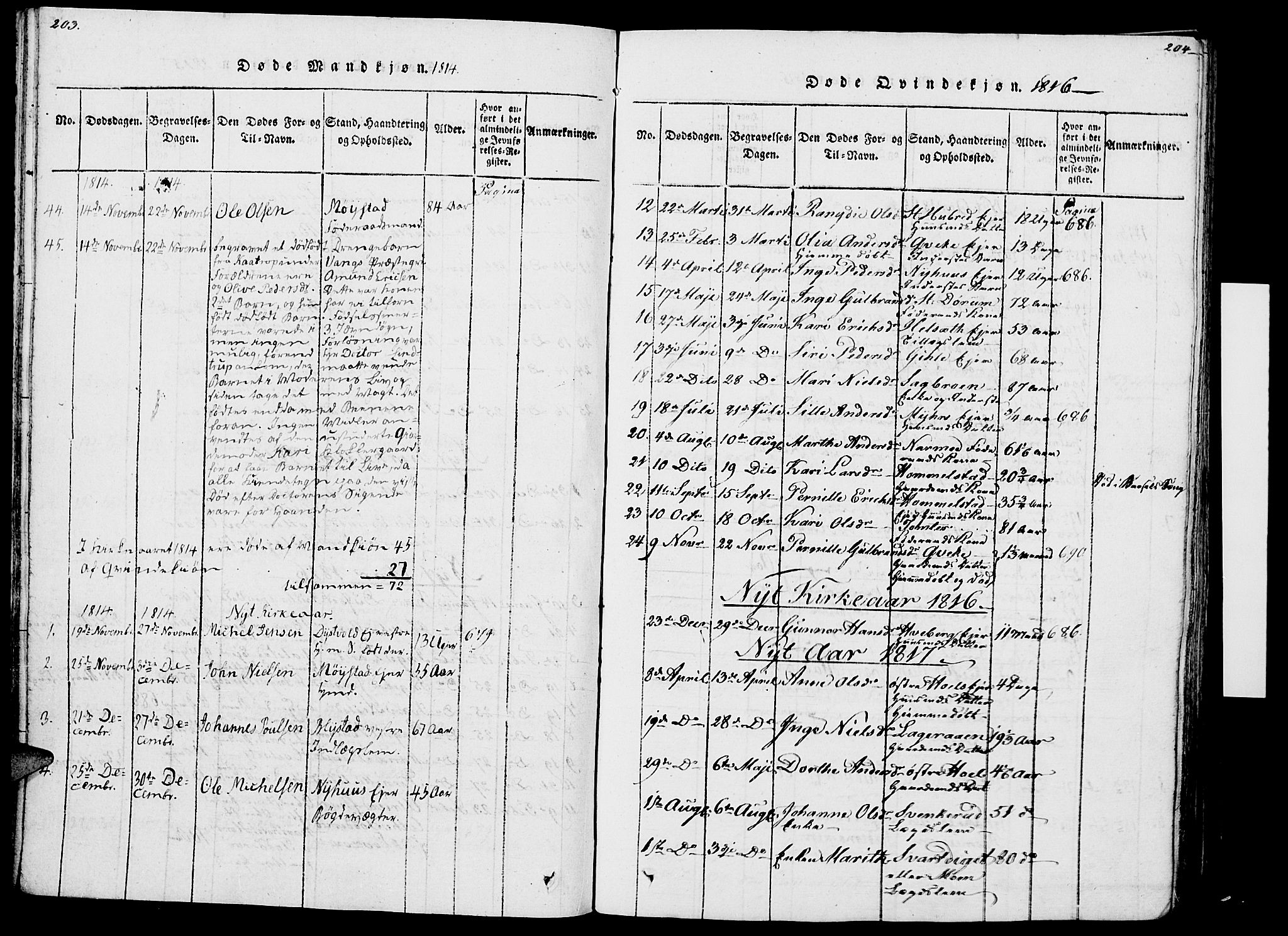 Vang prestekontor, Hedmark, SAH/PREST-008/H/Ha/Haa/L0007: Parish register (official) no. 7, 1813-1826, p. 203-204
