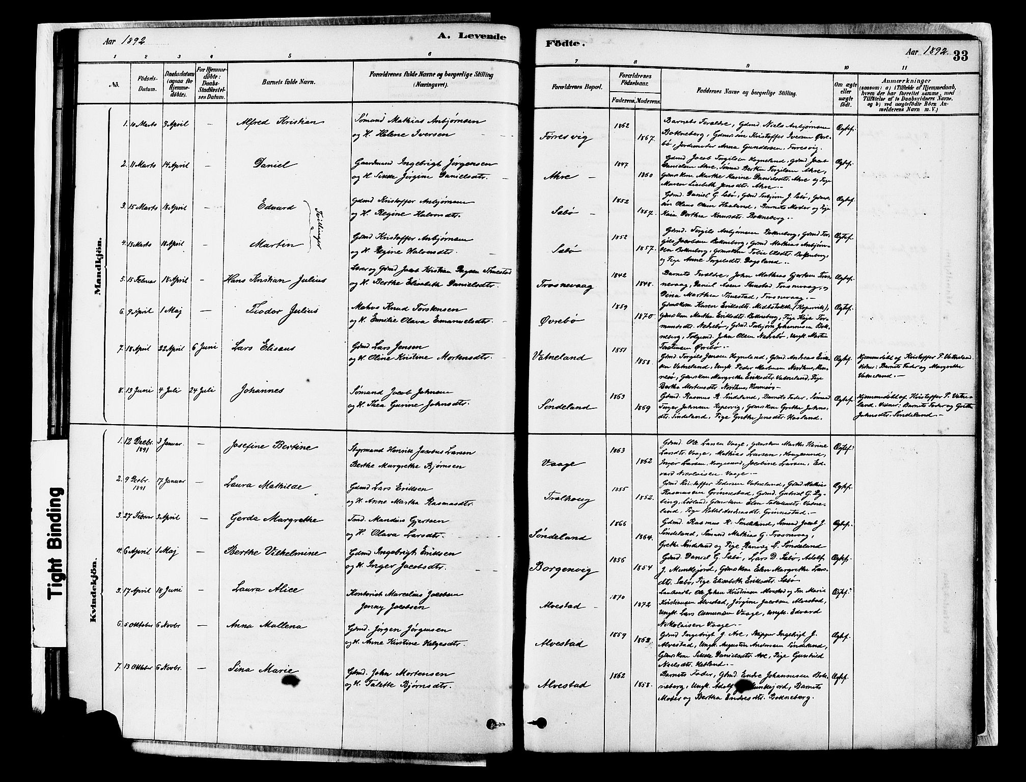 Tysvær sokneprestkontor, AV/SAST-A -101864/H/Ha/Haa/L0007: Parish register (official) no. A 7, 1878-1897, p. 33