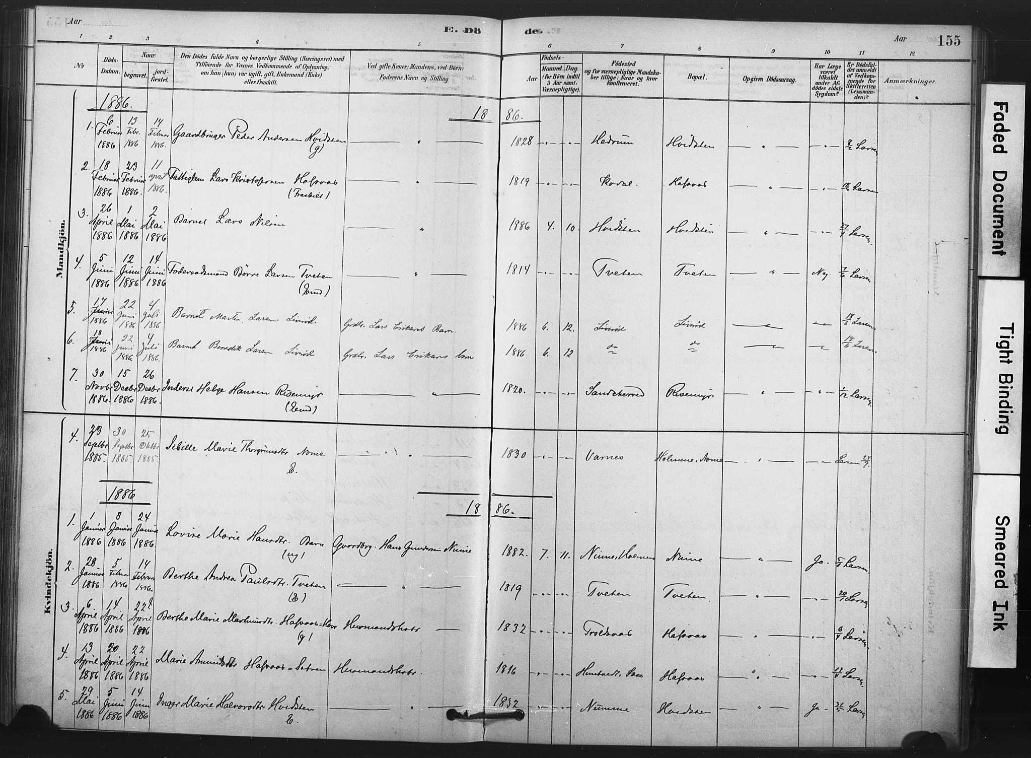 Andebu kirkebøker, AV/SAKO-A-336/F/Fa/L0008: Parish register (official) no. 8, 1878-1902, p. 155