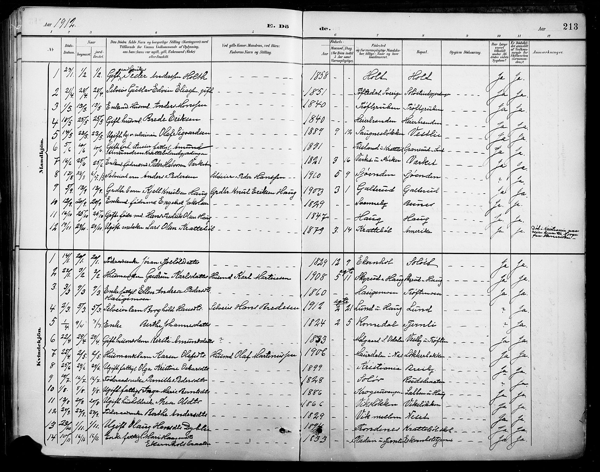 Nord-Odal prestekontor, AV/SAH-PREST-032/H/Ha/Hab/L0003: Parish register (copy) no. 3, 1895-1923, p. 213