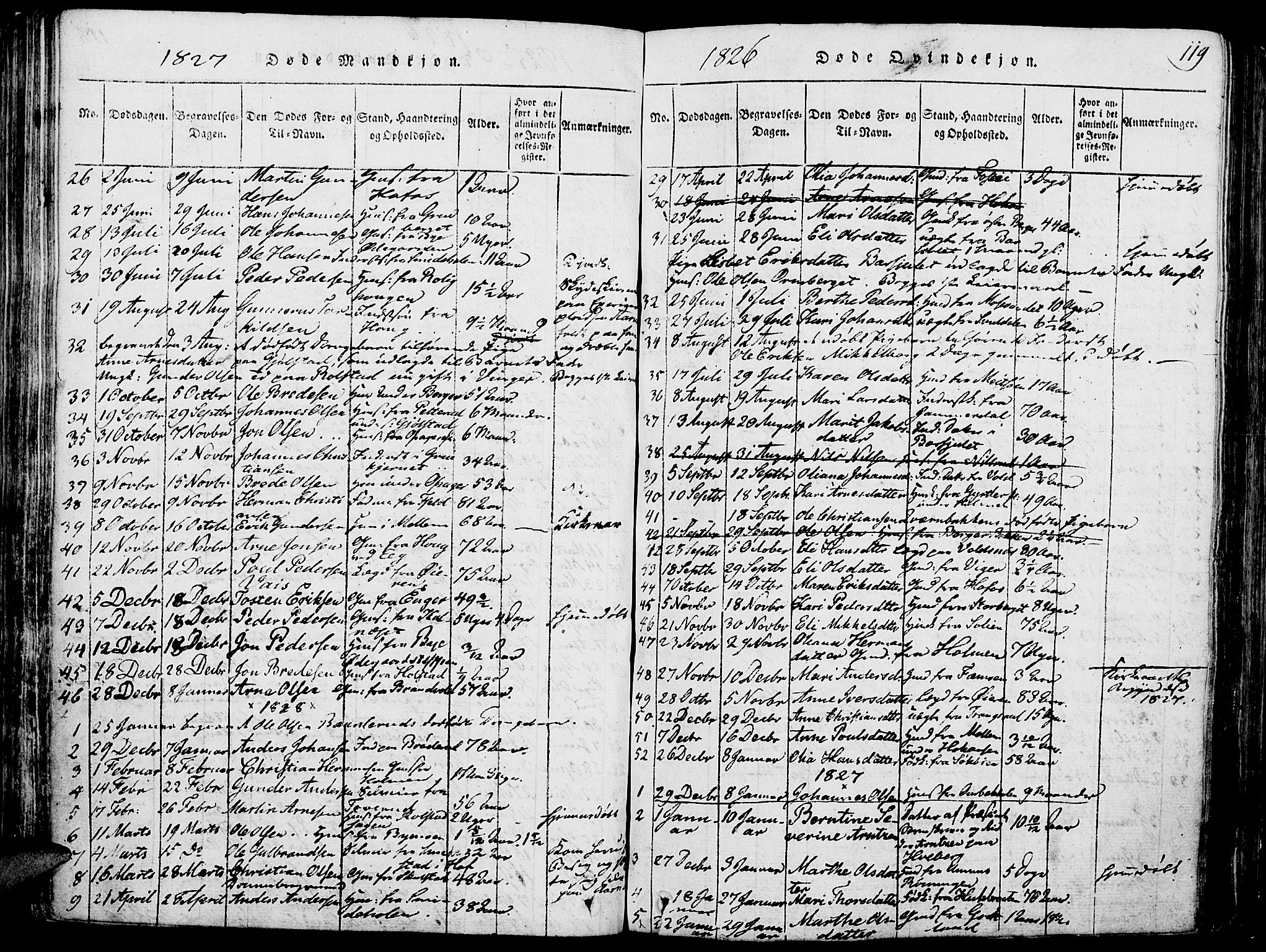 Grue prestekontor, SAH/PREST-036/H/Ha/Haa/L0006: Parish register (official) no. 6, 1814-1830, p. 119