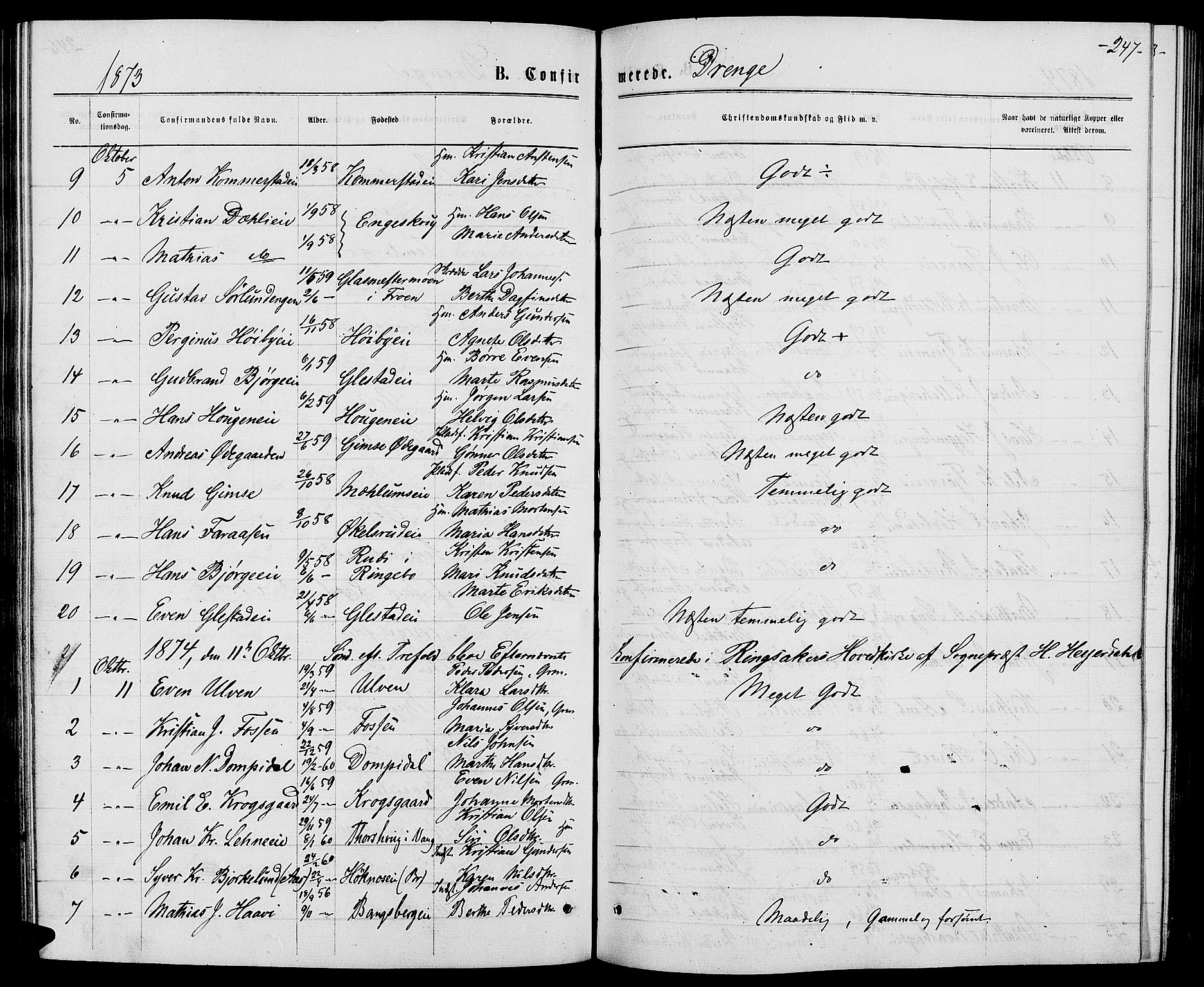 Ringsaker prestekontor, AV/SAH-PREST-014/L/La/L0008: Parish register (copy) no. 8, 1870-1878, p. 247