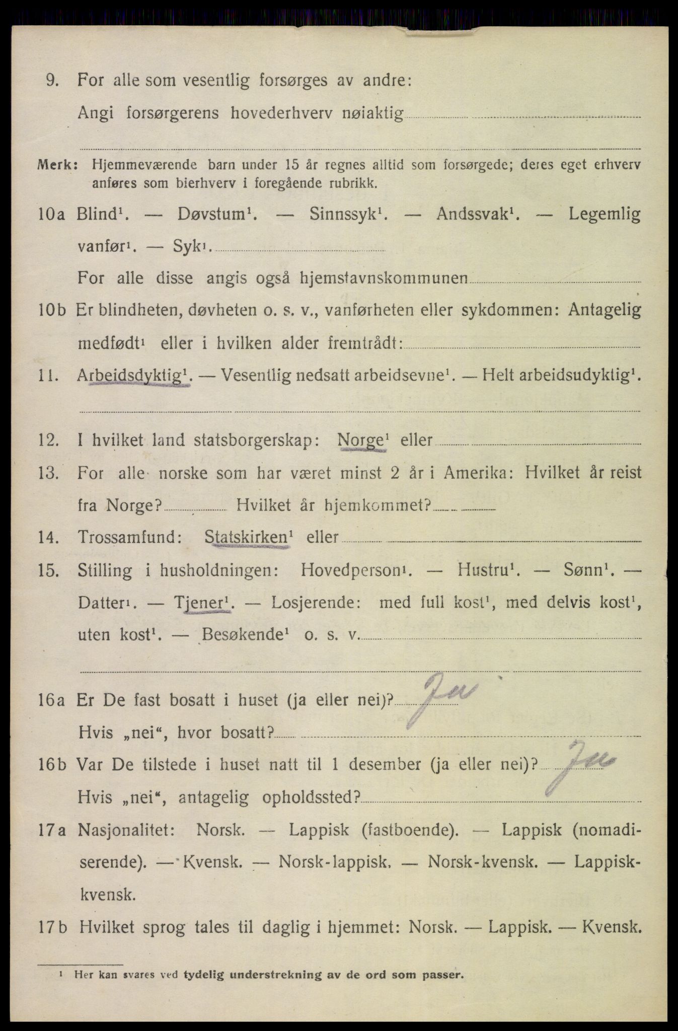 SAT, 1920 census for Bø, 1920, p. 6813