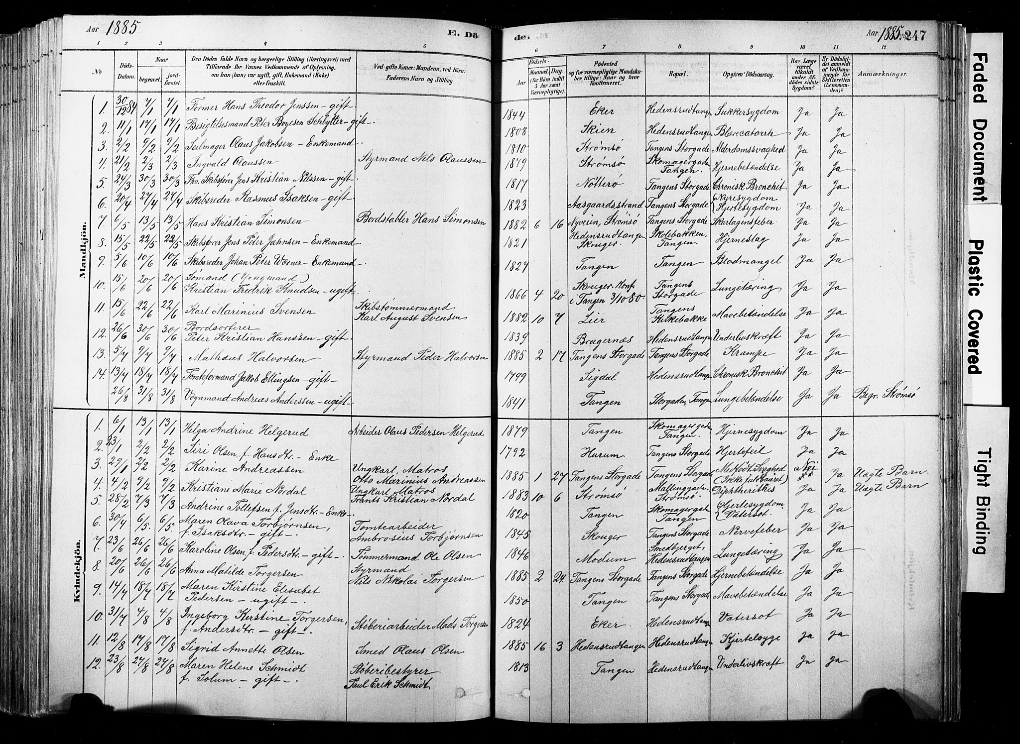 Strømsø kirkebøker, SAKO/A-246/F/Fb/L0006: Parish register (official) no. II 6, 1879-1910, p. 247