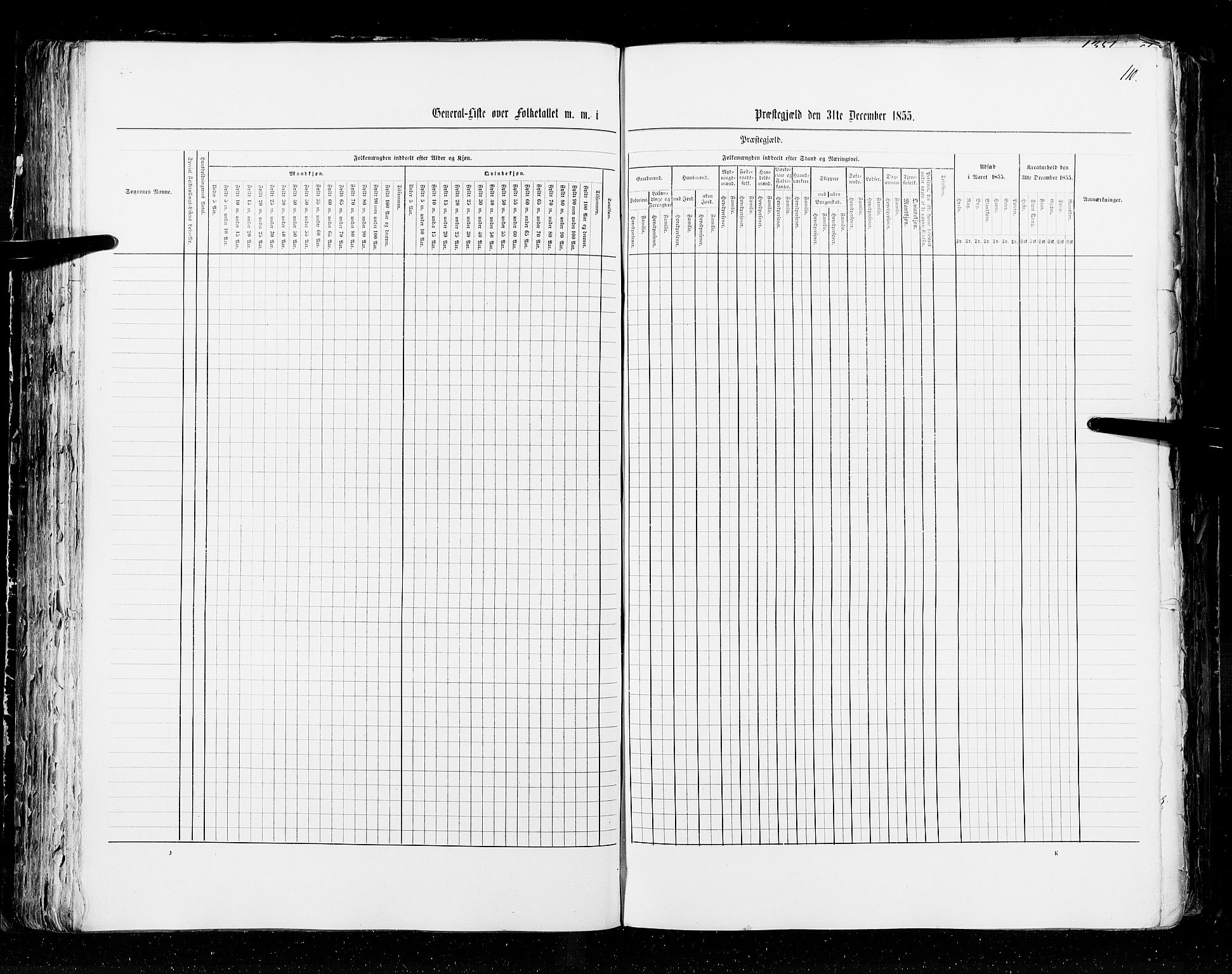 RA, Census 1855, vol. 2: Kristians amt, Buskerud amt og Jarlsberg og Larvik amt, 1855, p. 110