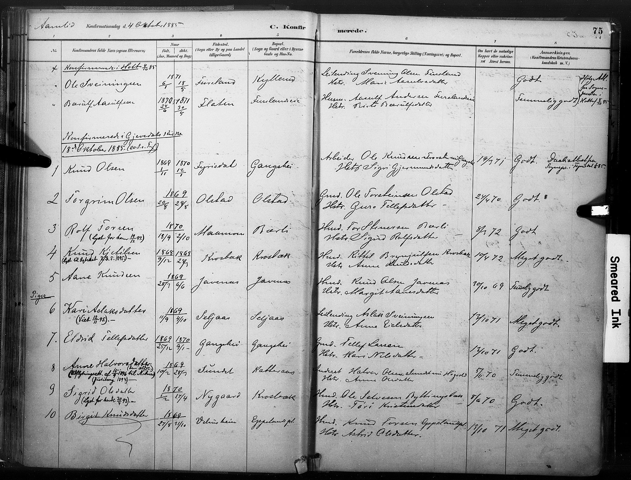 Åmli sokneprestkontor, AV/SAK-1111-0050/F/Fa/Fac/L0010: Parish register (official) no. A 10 /1, 1885-1899, p. 75