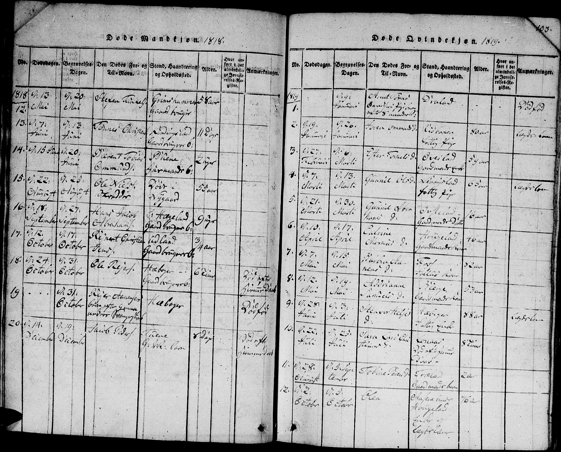 Lyngdal sokneprestkontor, AV/SAK-1111-0029/F/Fb/Fbc/L0001: Parish register (copy) no. B 1, 1815-1844, p. 103