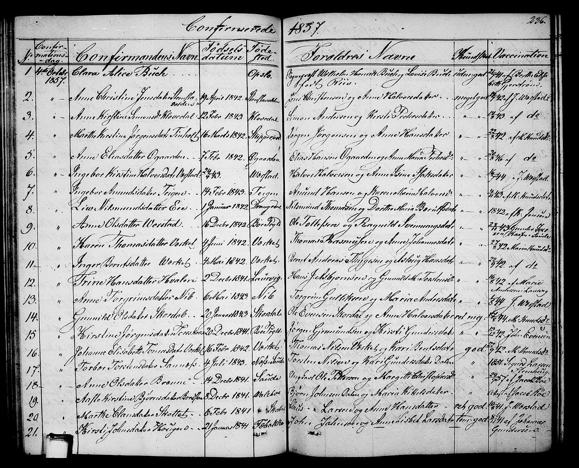 Holla kirkebøker, SAKO/A-272/G/Ga/L0003: Parish register (copy) no. I 3, 1849-1866, p. 236