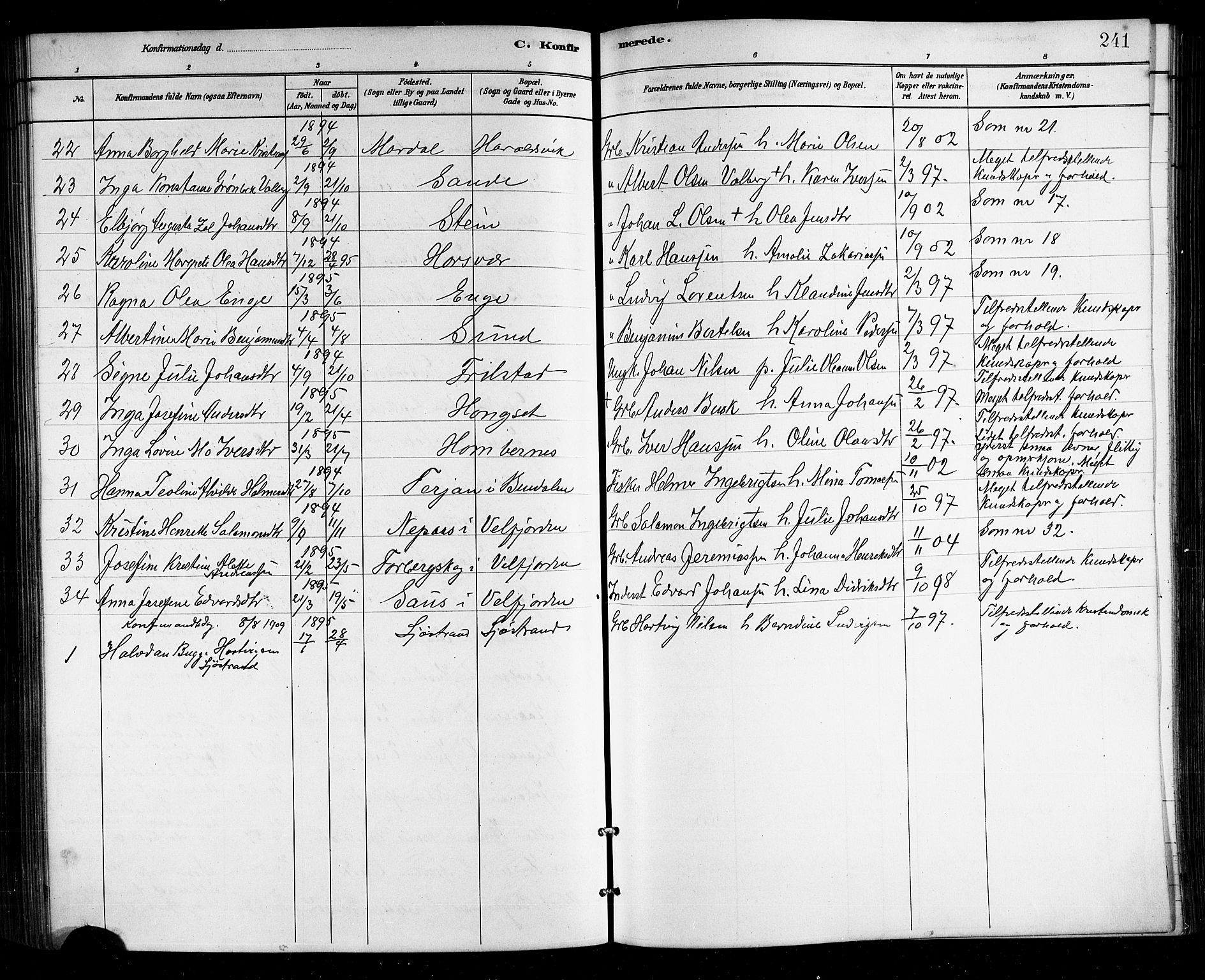 Ministerialprotokoller, klokkerbøker og fødselsregistre - Nordland, SAT/A-1459/812/L0188: Parish register (copy) no. 812C06, 1884-1912, p. 241