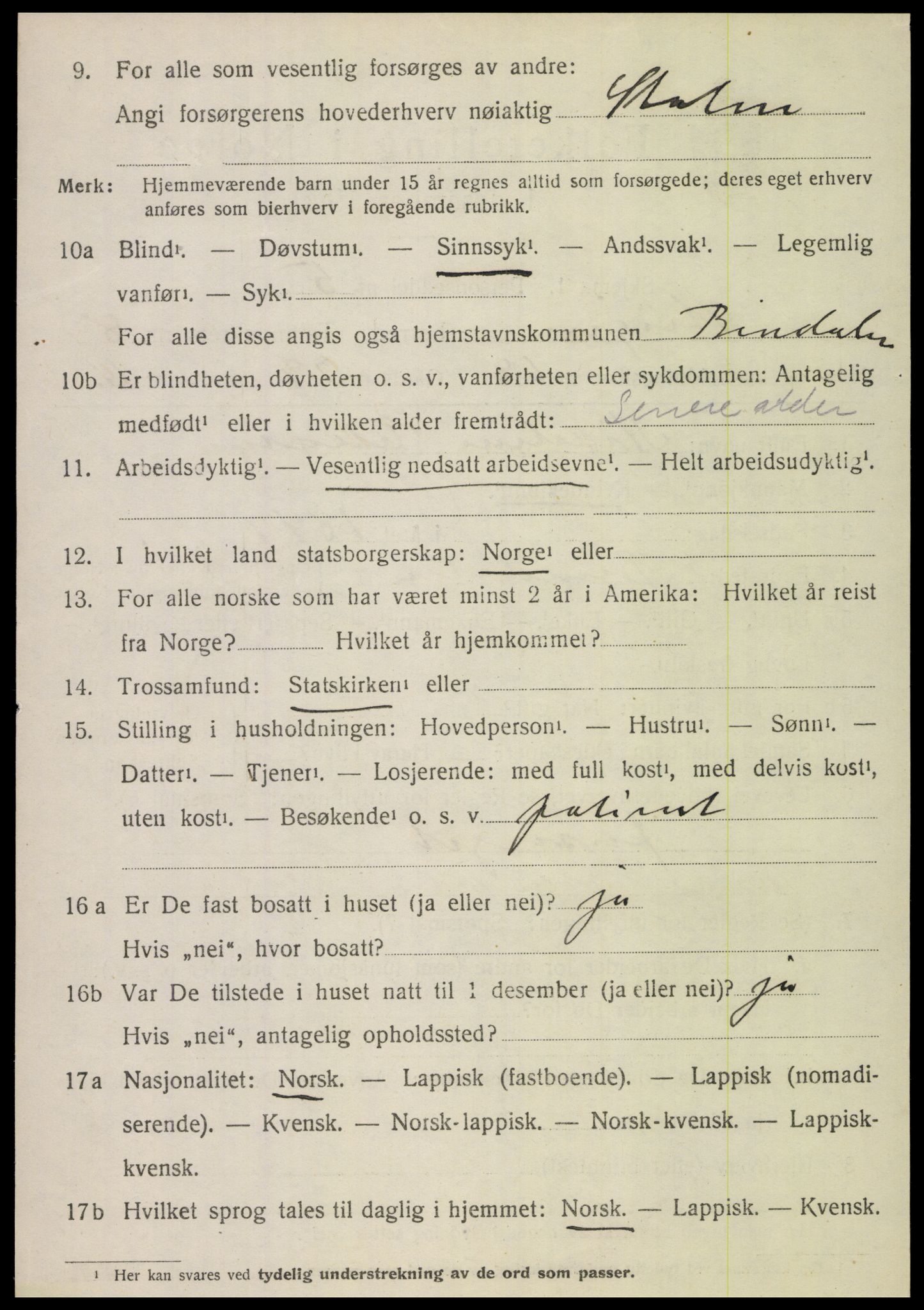 SAT, 1920 census for Steigen, 1920, p. 3891