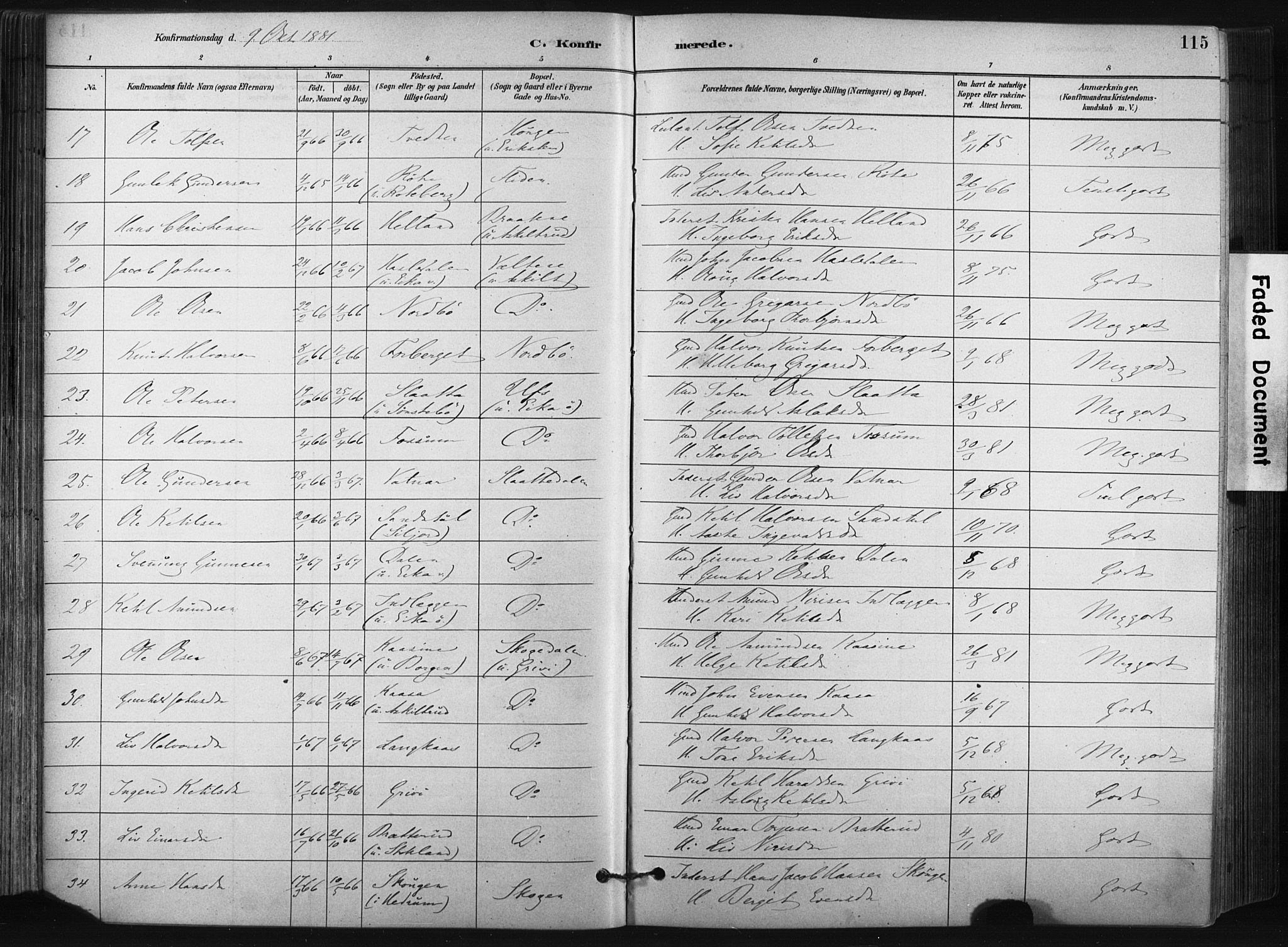 Bø kirkebøker, SAKO/A-257/F/Fa/L0010: Parish register (official) no. 10, 1880-1892, p. 115