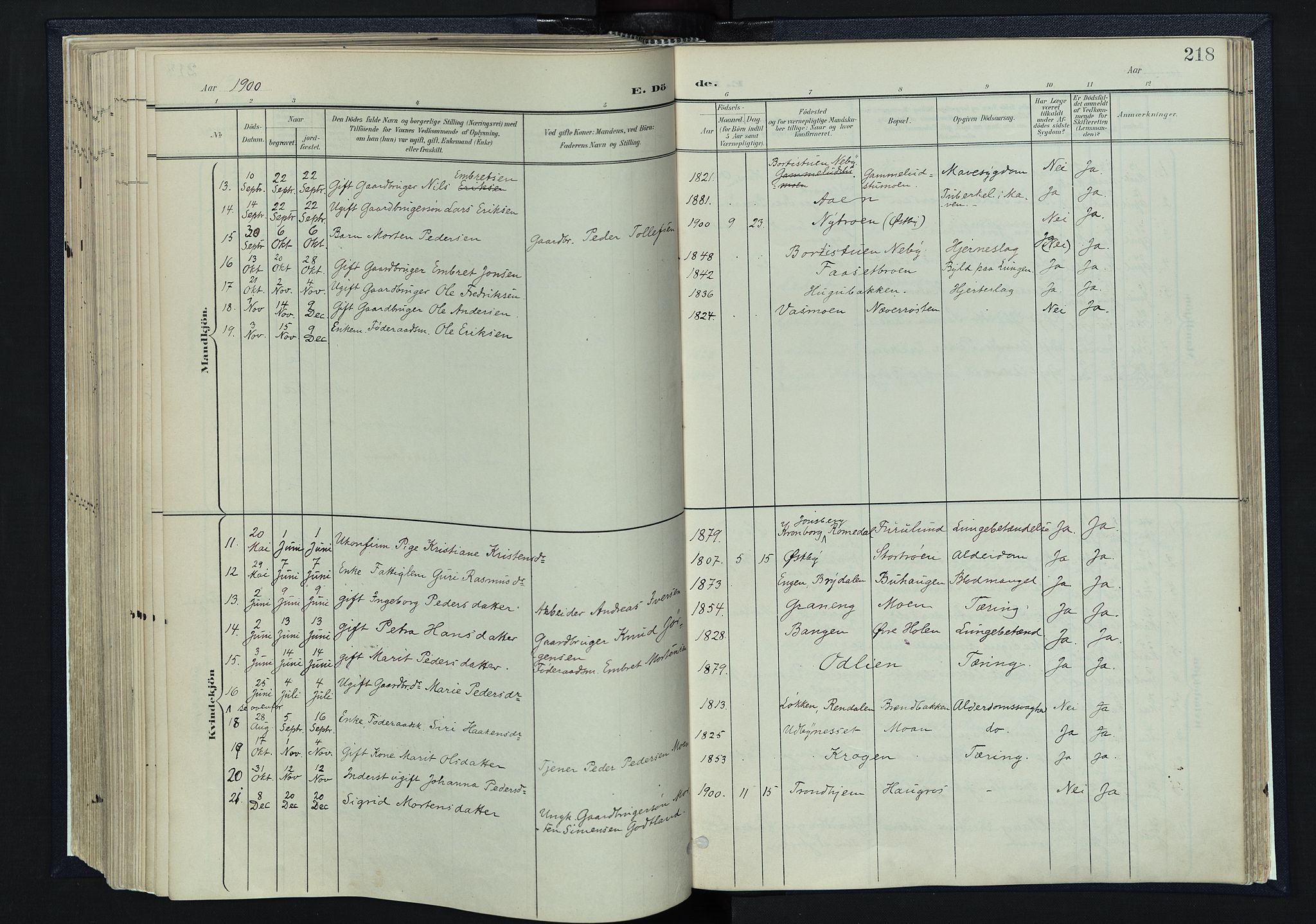 Tynset prestekontor, SAH/PREST-058/H/Ha/Haa/L0025: Parish register (official) no. 25, 1900-1914, p. 218