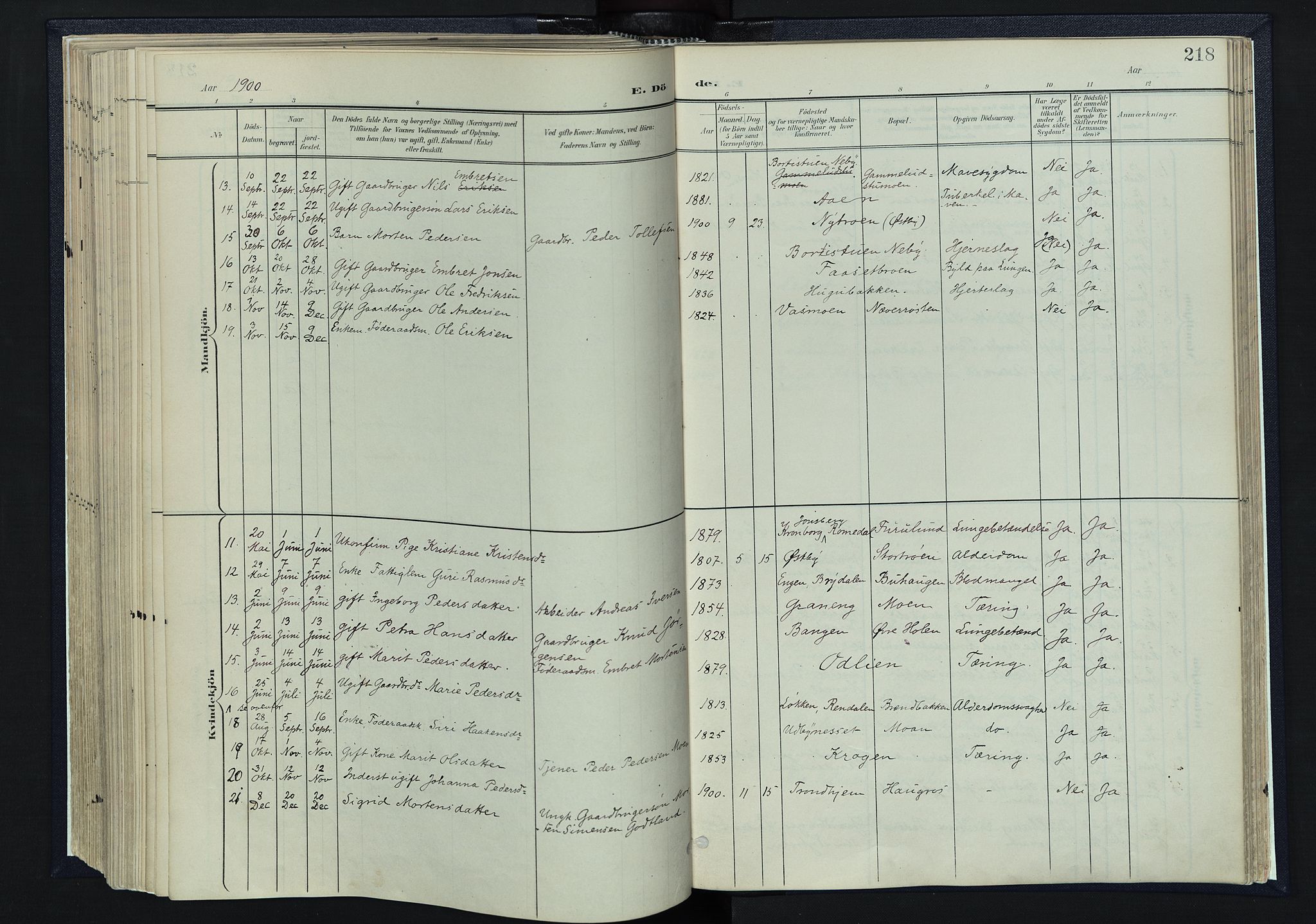 Tynset prestekontor, AV/SAH-PREST-058/H/Ha/Haa/L0025: Parish register (official) no. 25, 1900-1914, p. 218
