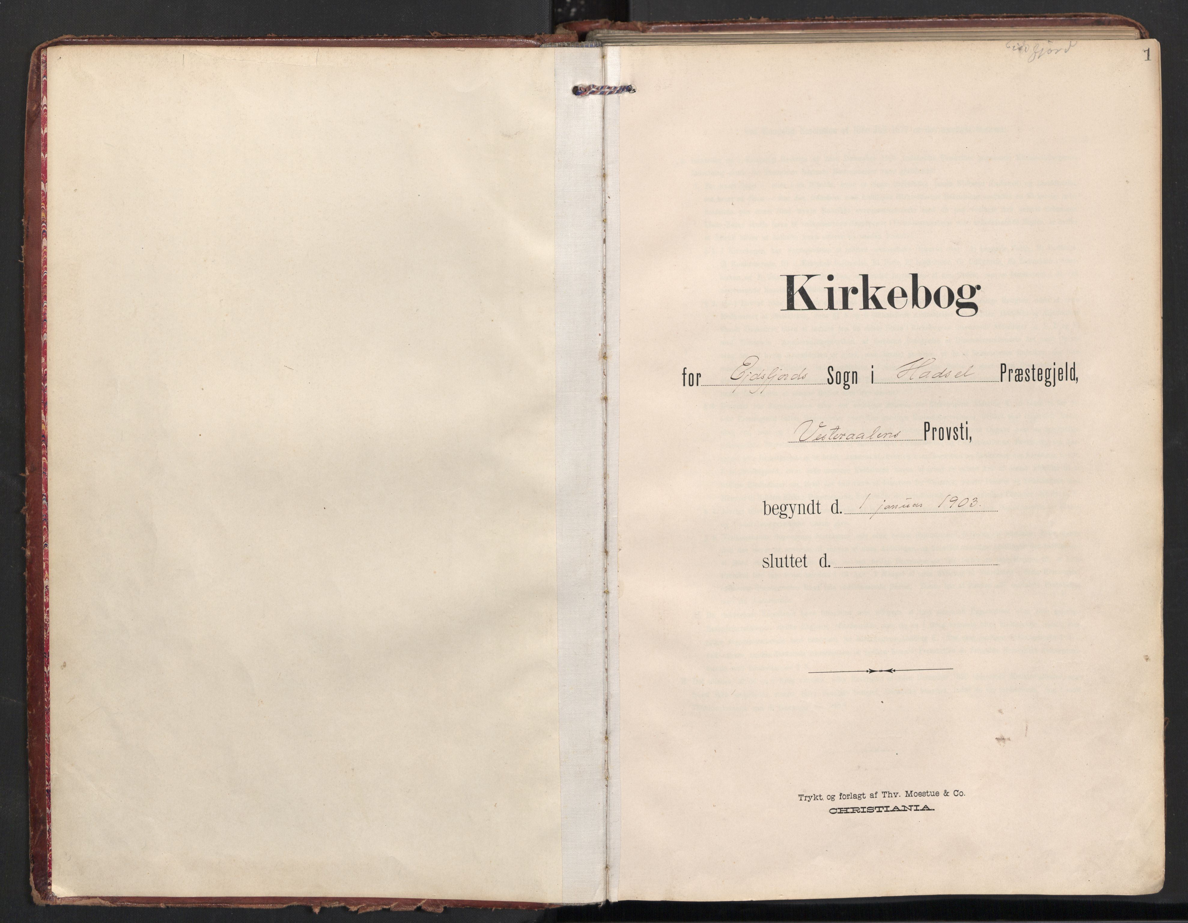 Ministerialprotokoller, klokkerbøker og fødselsregistre - Nordland, AV/SAT-A-1459/890/L1287: Parish register (official) no. 890A02, 1903-1915, p. 1