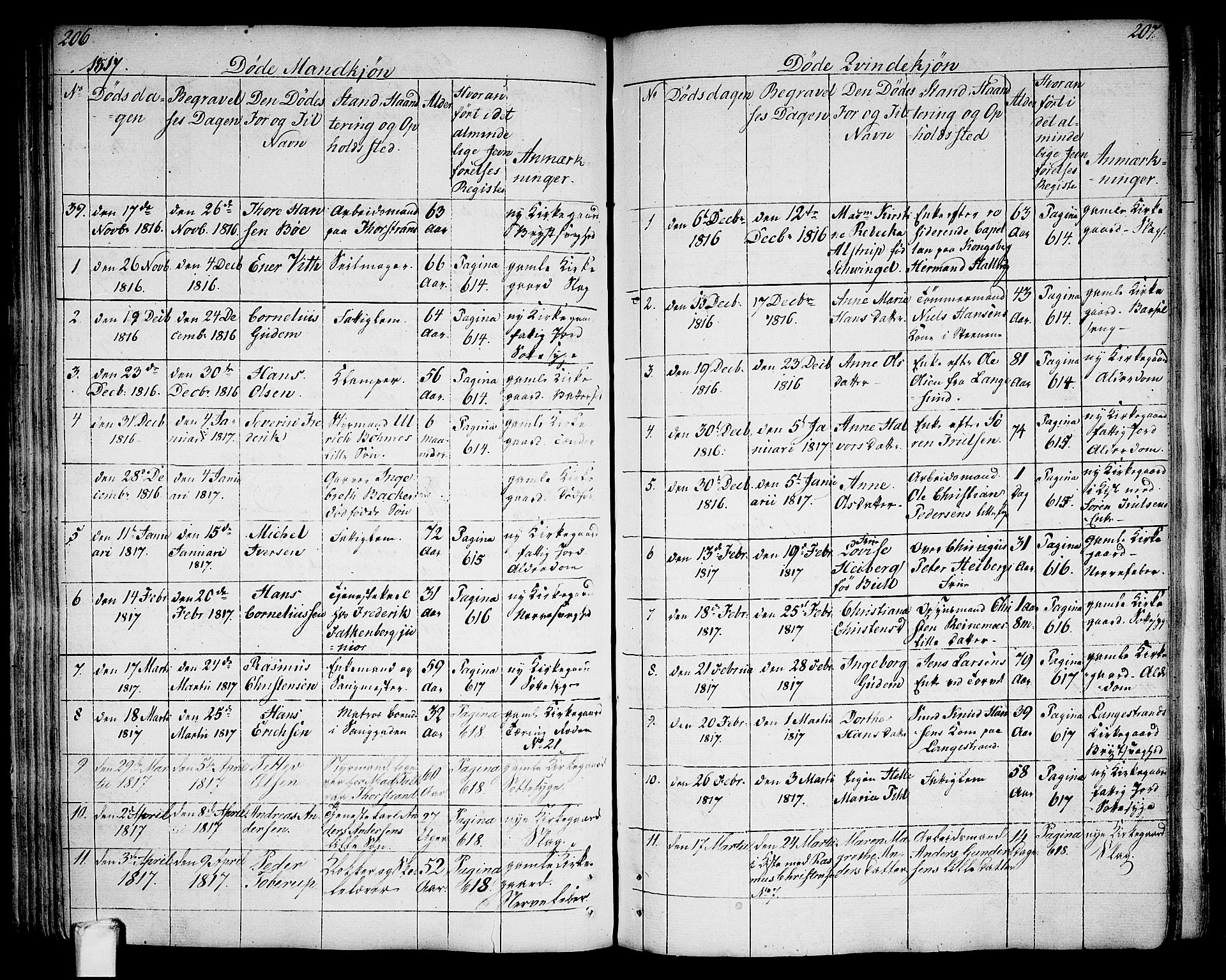 Larvik kirkebøker, AV/SAKO-A-352/G/Ga/L0002: Parish register (copy) no. I 2, 1807-1830, p. 206-207