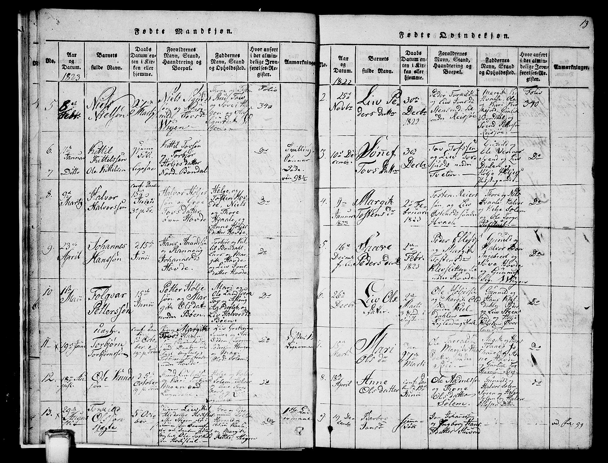 Hjartdal kirkebøker, AV/SAKO-A-270/G/Gc/L0001: Parish register (copy) no. III 1, 1815-1842, p. 13