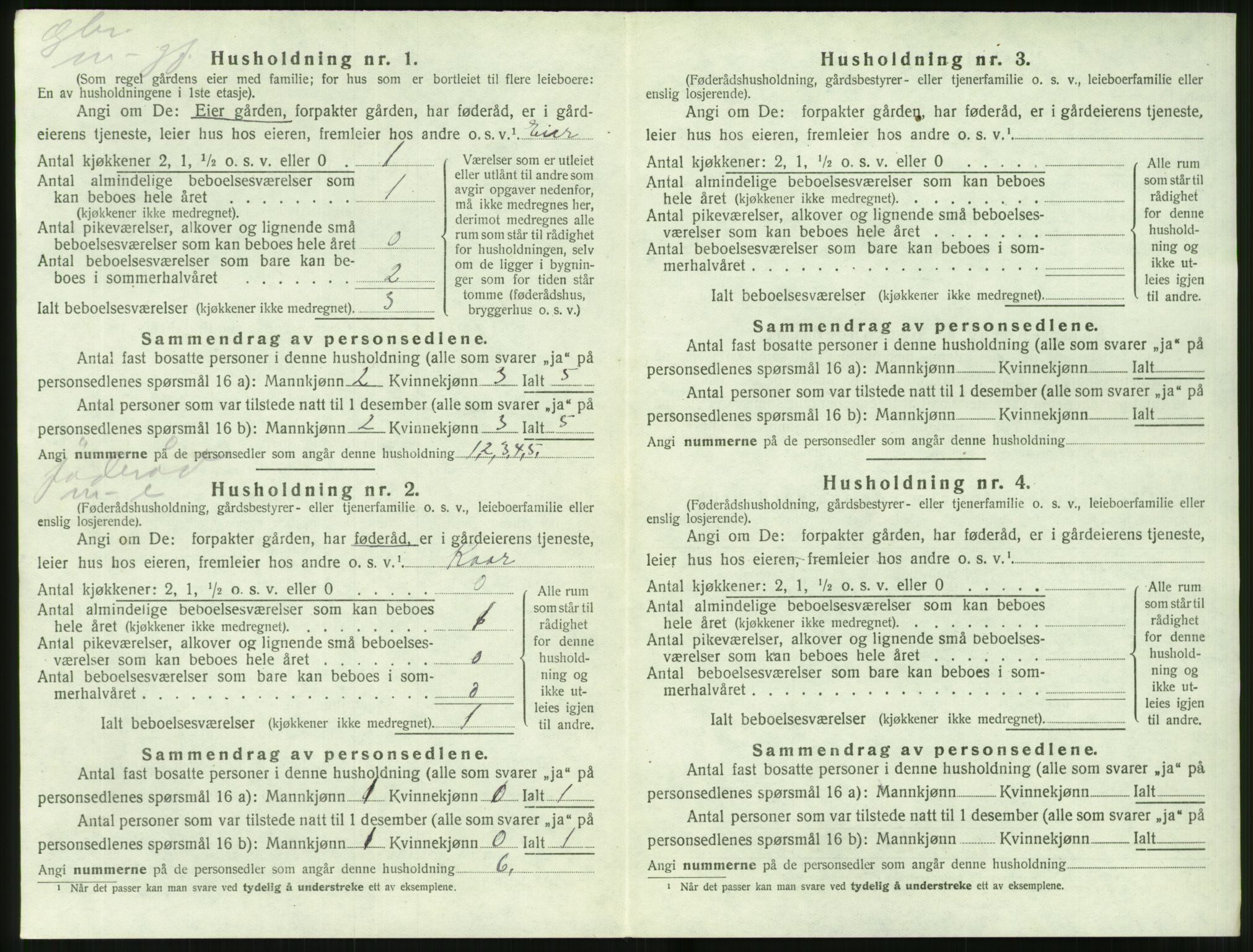 SAT, 1920 census for Hjørundfjord, 1920, p. 220