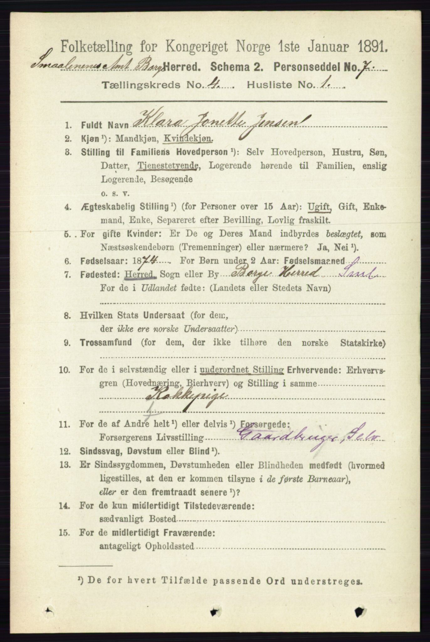 RA, 1891 census for 0113 Borge, 1891, p. 1662