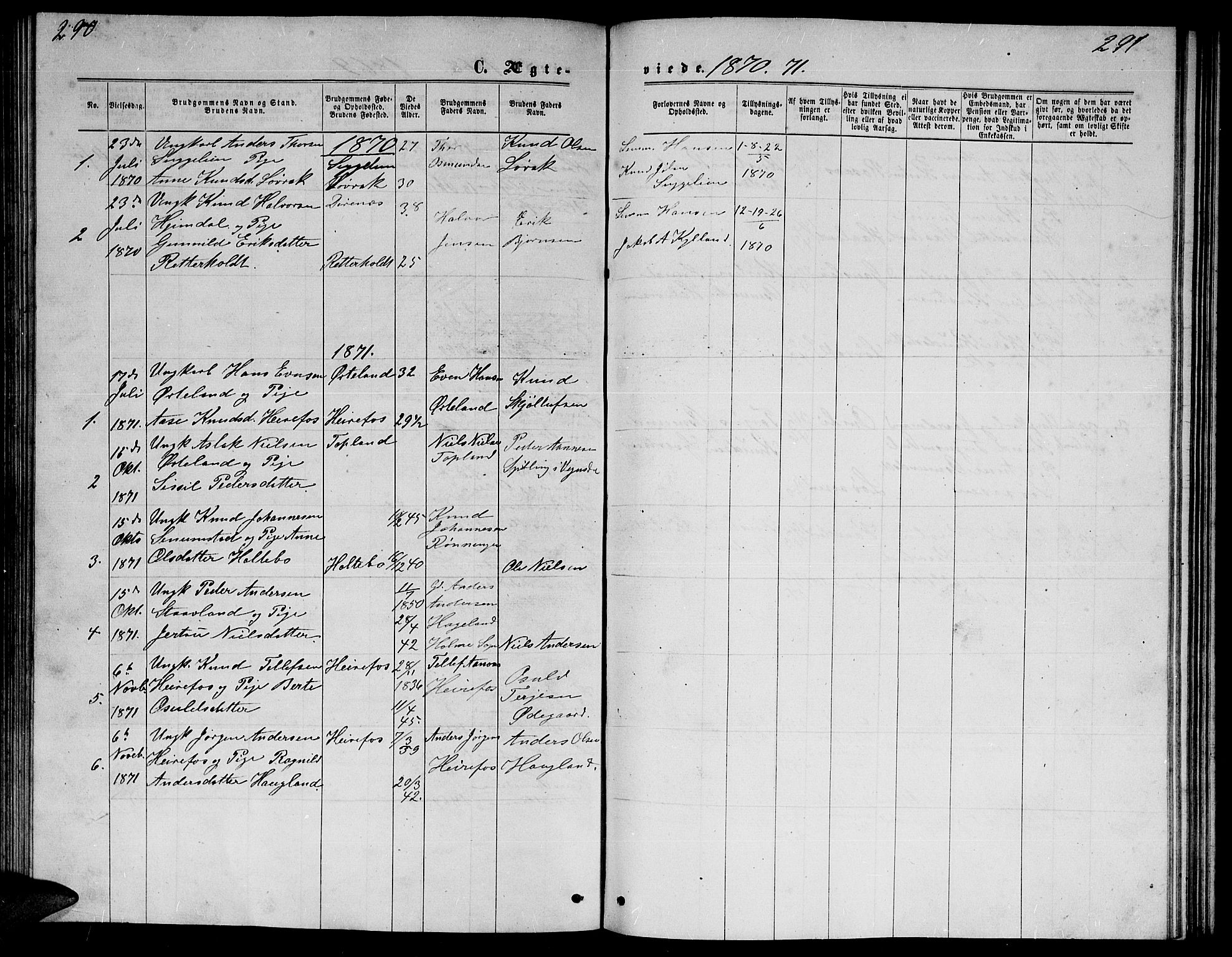 Herefoss sokneprestkontor, SAK/1111-0019/F/Fb/Fba/L0002: Parish register (copy) no. B 2, 1868-1886, p. 290-291