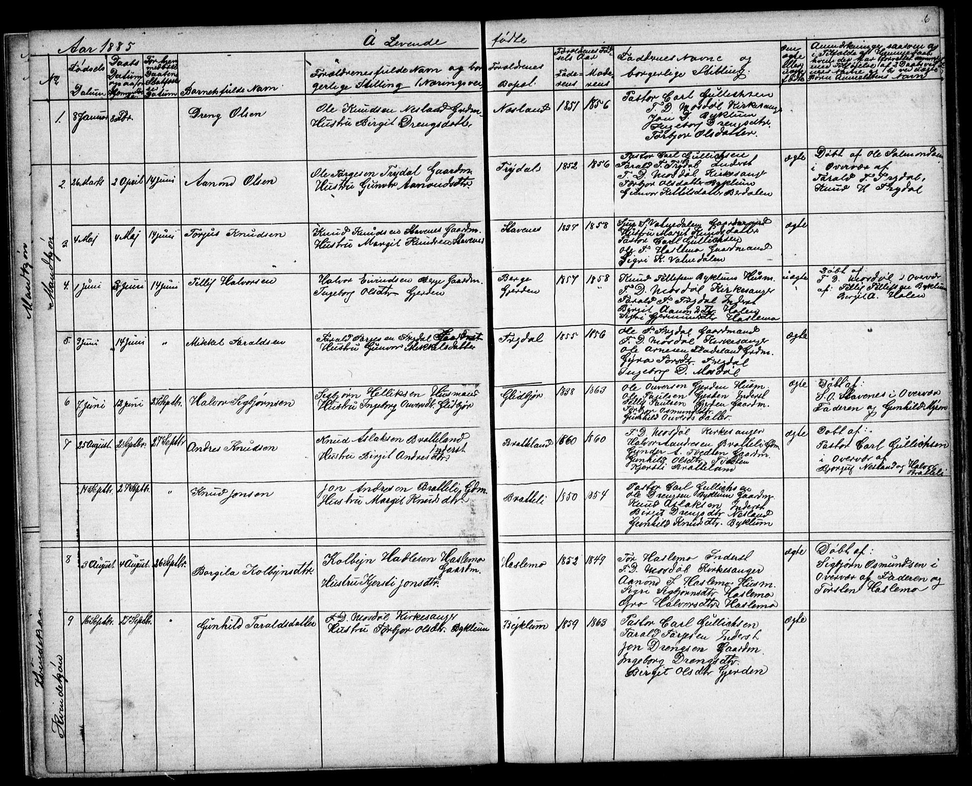 Valle sokneprestkontor, AV/SAK-1111-0044/F/Fb/Fba/L0002: Parish register (copy) no. B 2, 1882-1894, p. 6
