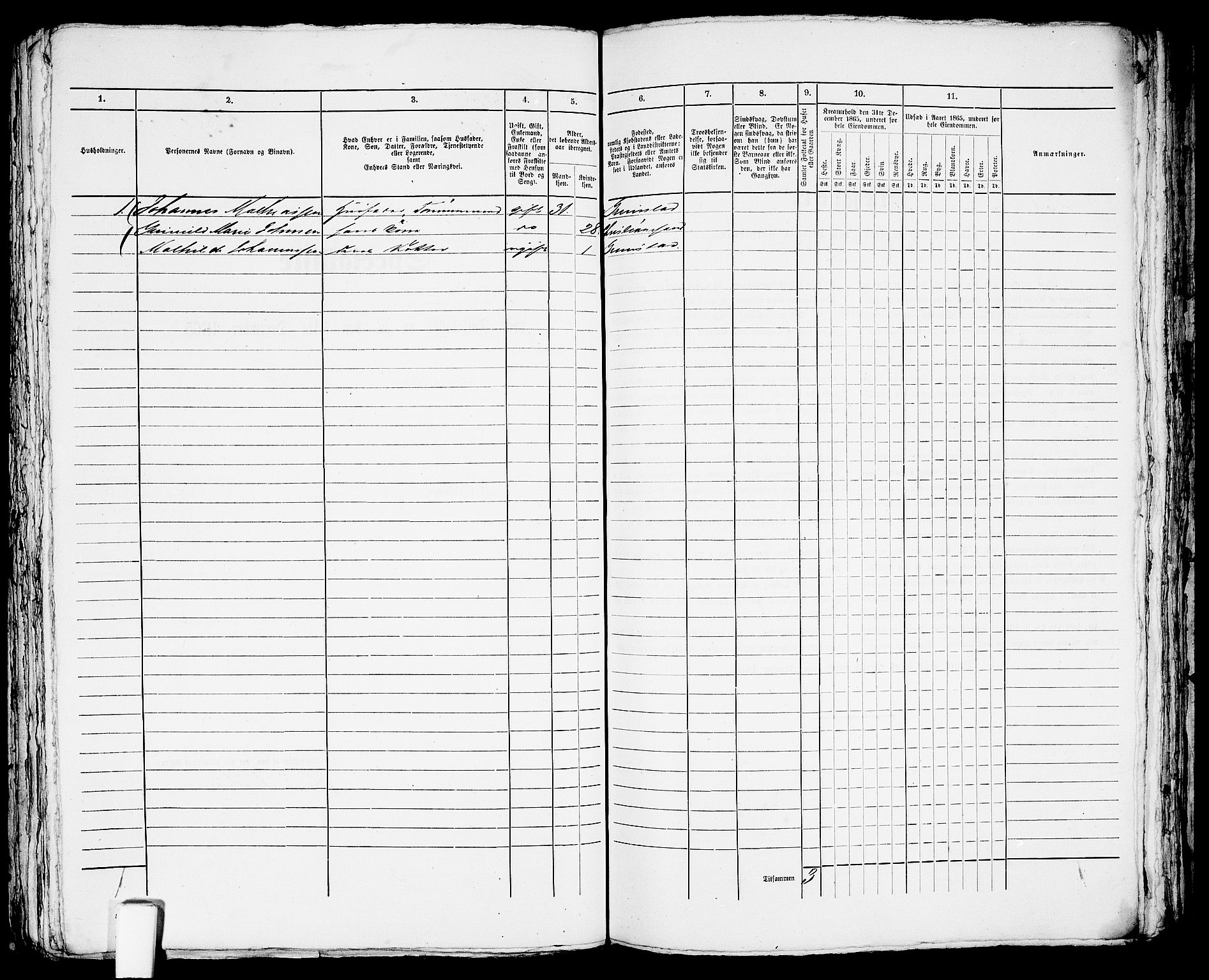 RA, 1865 census for Fjære/Grimstad, 1865, p. 238