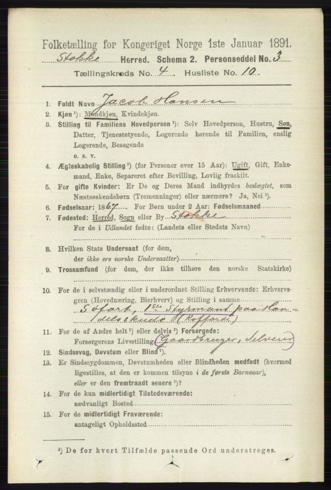 RA, 1891 census for 0720 Stokke, 1891, p. 2494