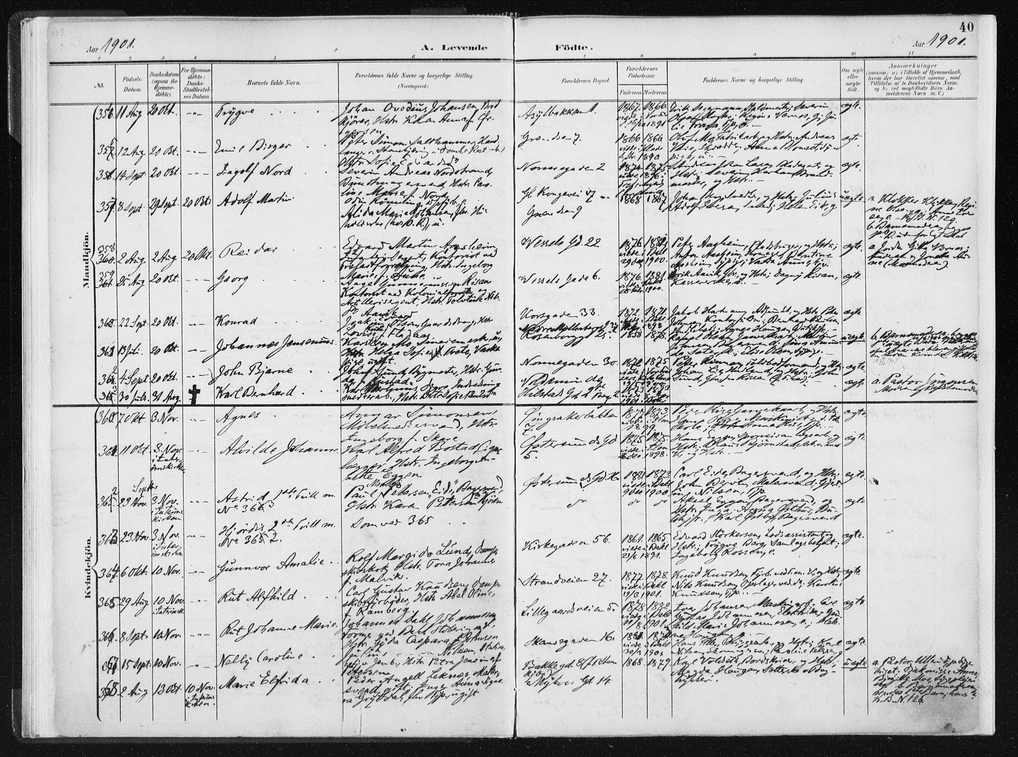 Ministerialprotokoller, klokkerbøker og fødselsregistre - Sør-Trøndelag, AV/SAT-A-1456/604/L0199: Parish register (official) no. 604A20I, 1901-1906, p. 40