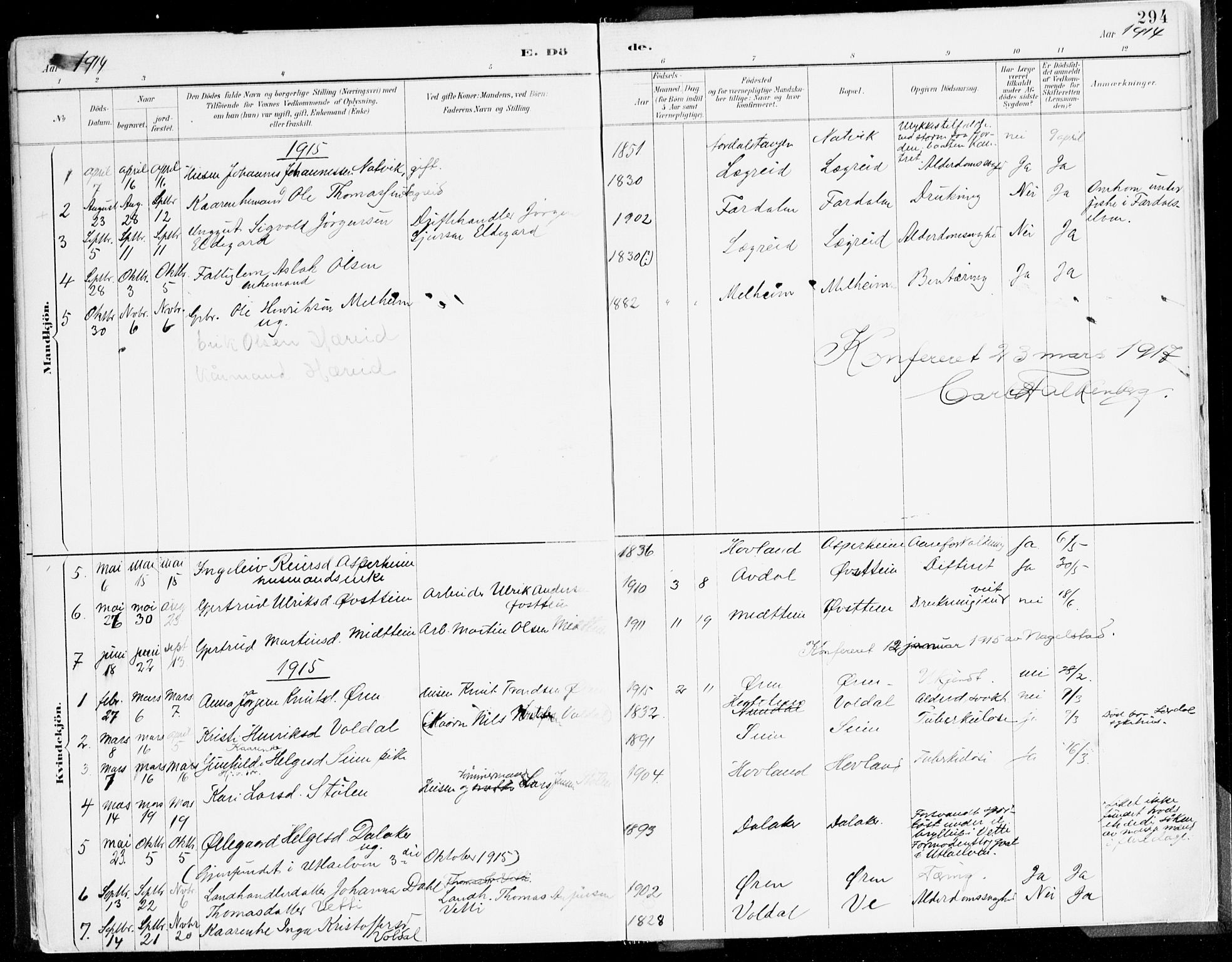 Årdal sokneprestembete, AV/SAB-A-81701: Parish register (official) no. A 5, 1887-1917, p. 294