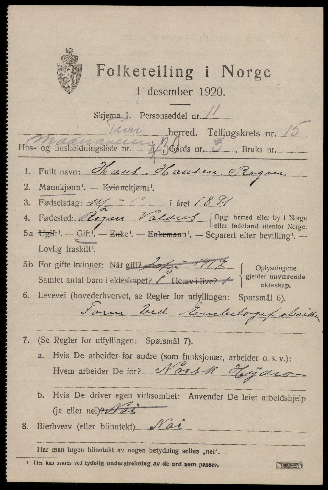 SAKO, 1920 census for Tinn, 1920, p. 13094