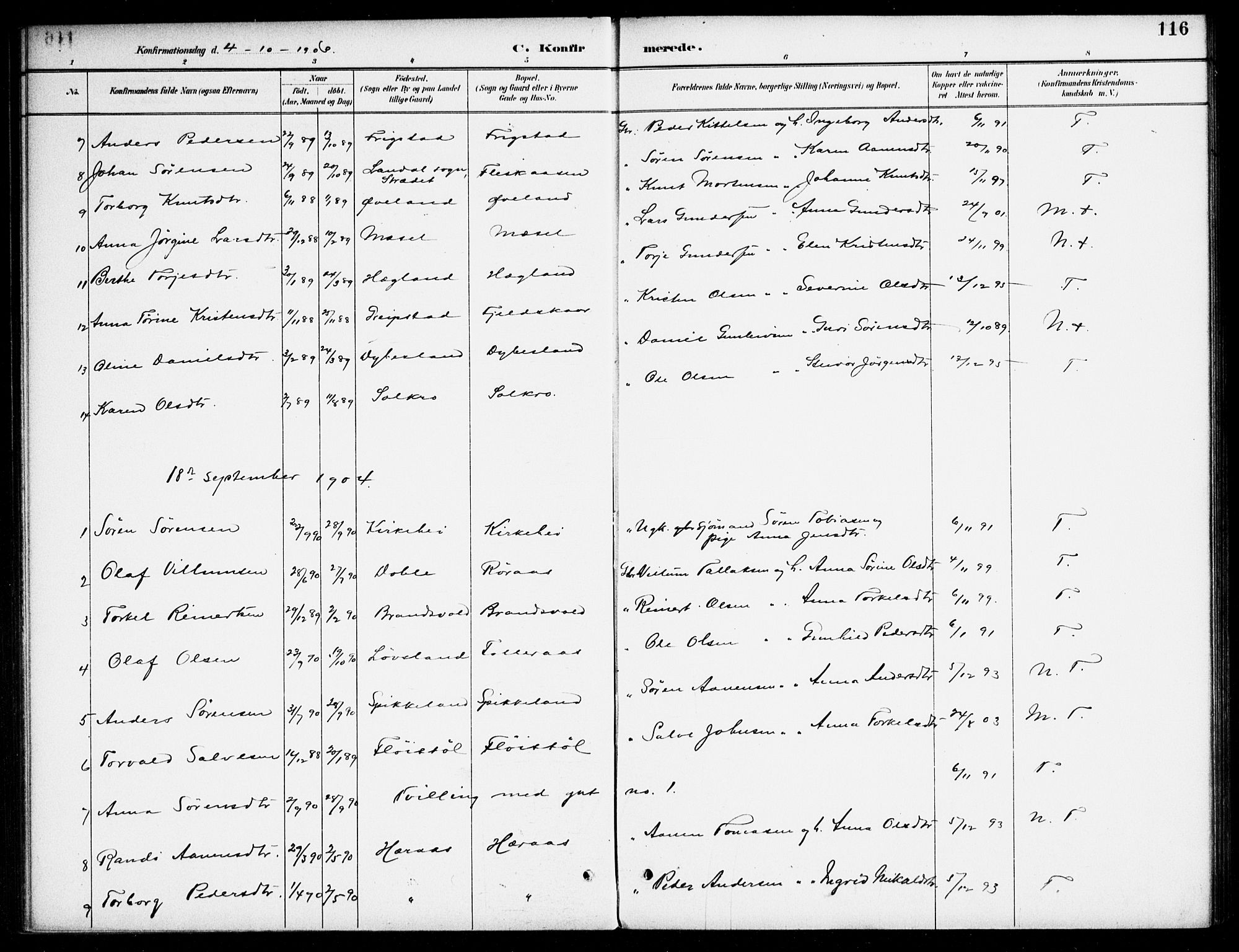 Bjelland sokneprestkontor, AV/SAK-1111-0005/F/Fa/Fab/L0004: Parish register (official) no. A 4, 1887-1920, p. 116