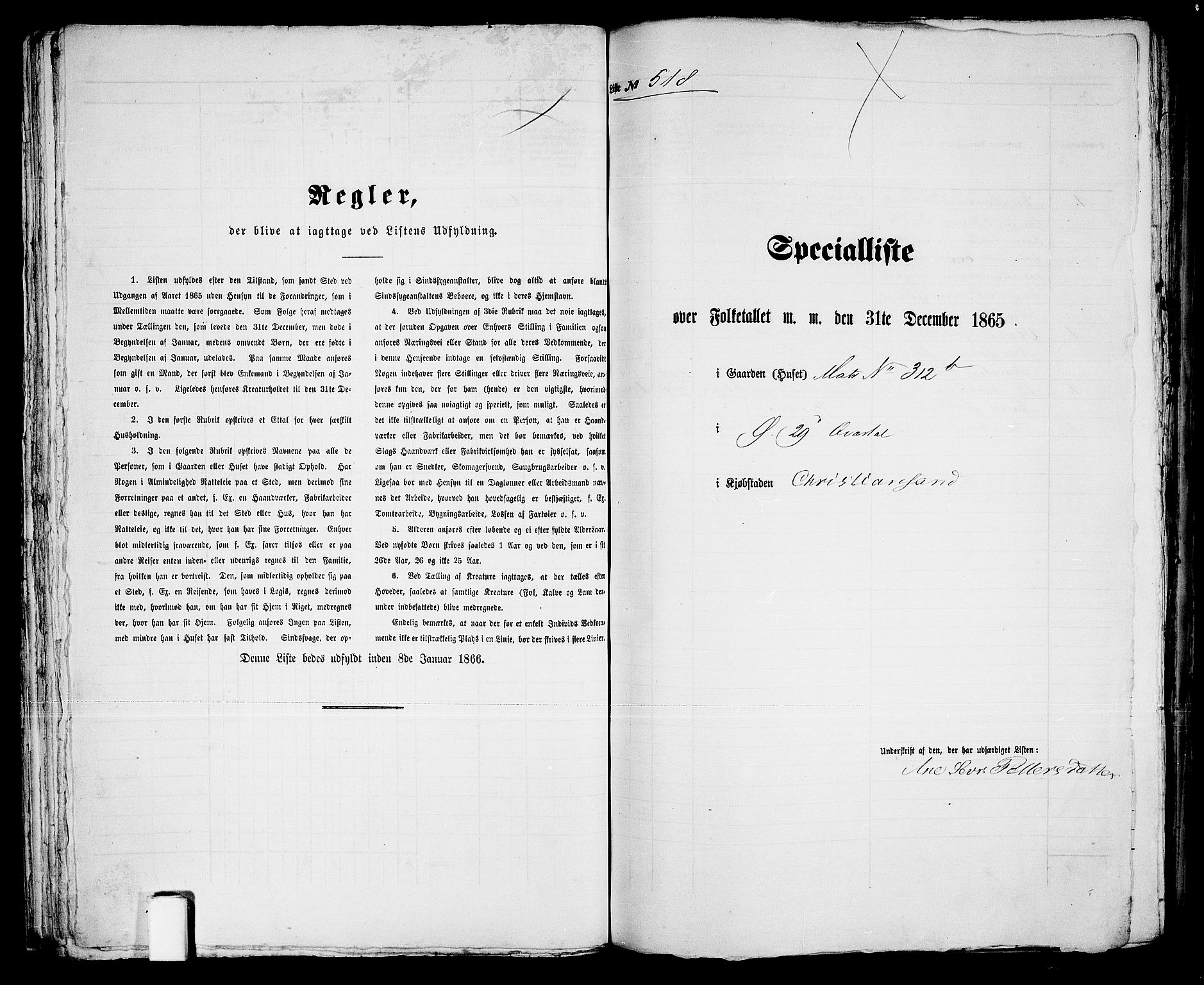 RA, 1865 census for Kristiansand, 1865, p. 1061