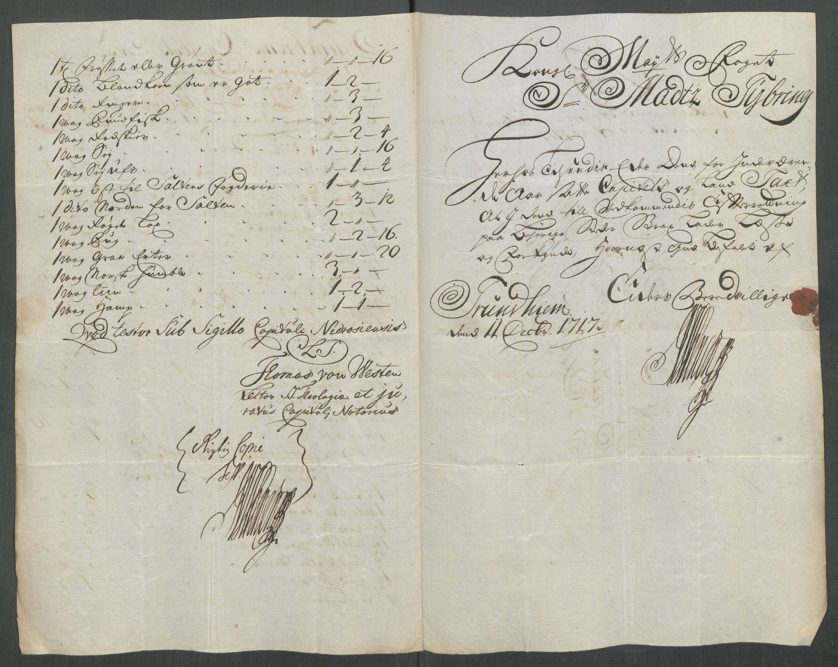 Rentekammeret inntil 1814, Reviderte regnskaper, Fogderegnskap, AV/RA-EA-4092/R61/L4116: Fogderegnskap Strinda og Selbu, 1717-1718, p. 172