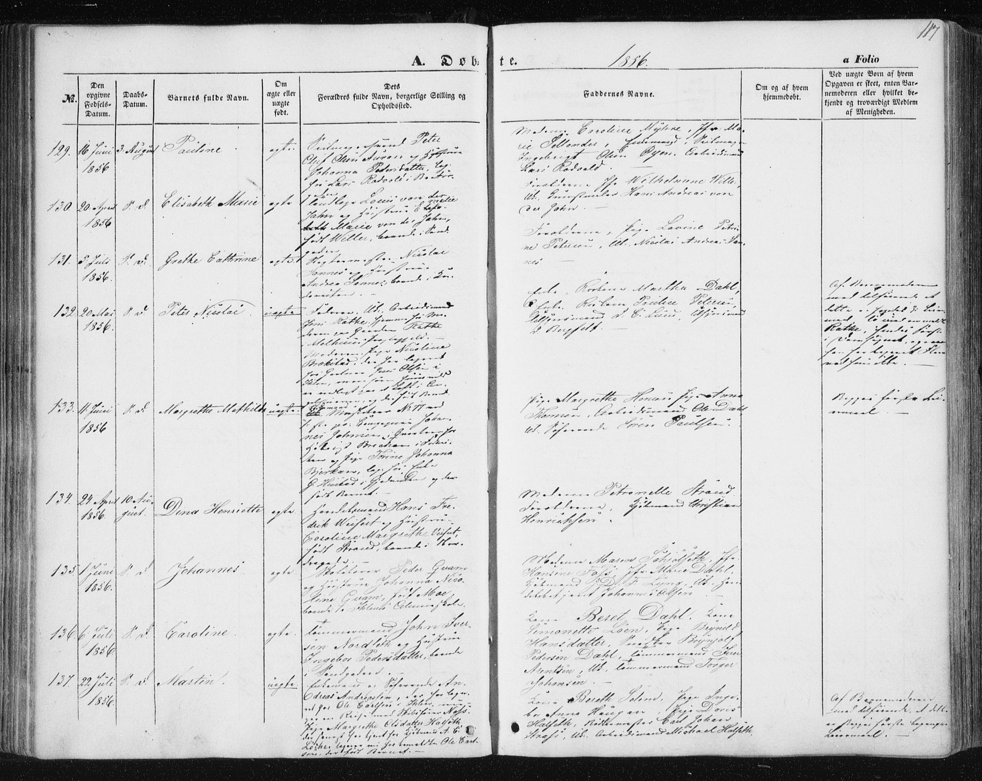 Ministerialprotokoller, klokkerbøker og fødselsregistre - Sør-Trøndelag, SAT/A-1456/602/L0112: Parish register (official) no. 602A10, 1848-1859, p. 117