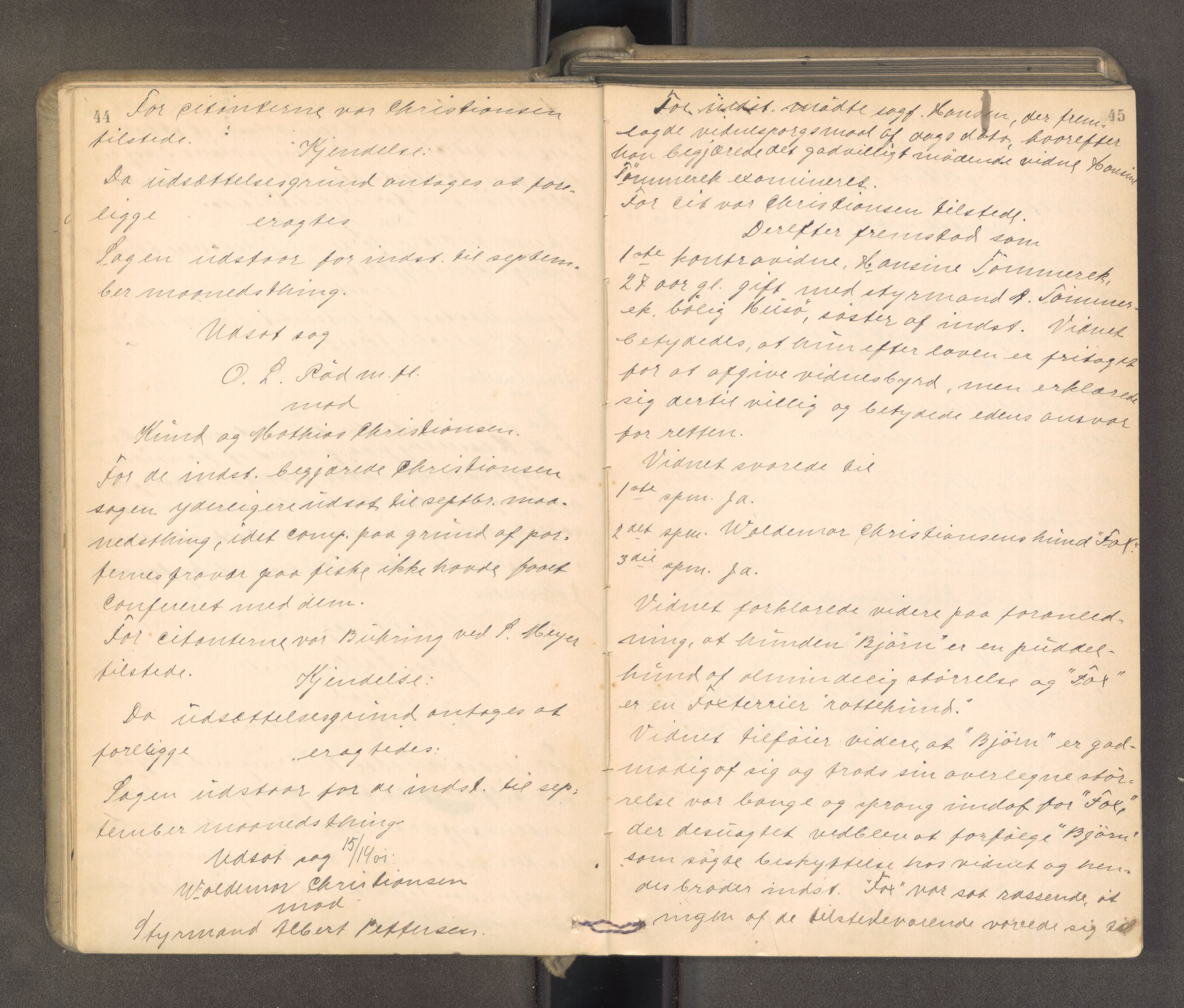 Søndre Jarlsberg sorenskriveri, AV/SAKO-A-129/F/Fa/L0043: Tingbok, 1901-1903, p. 44-45