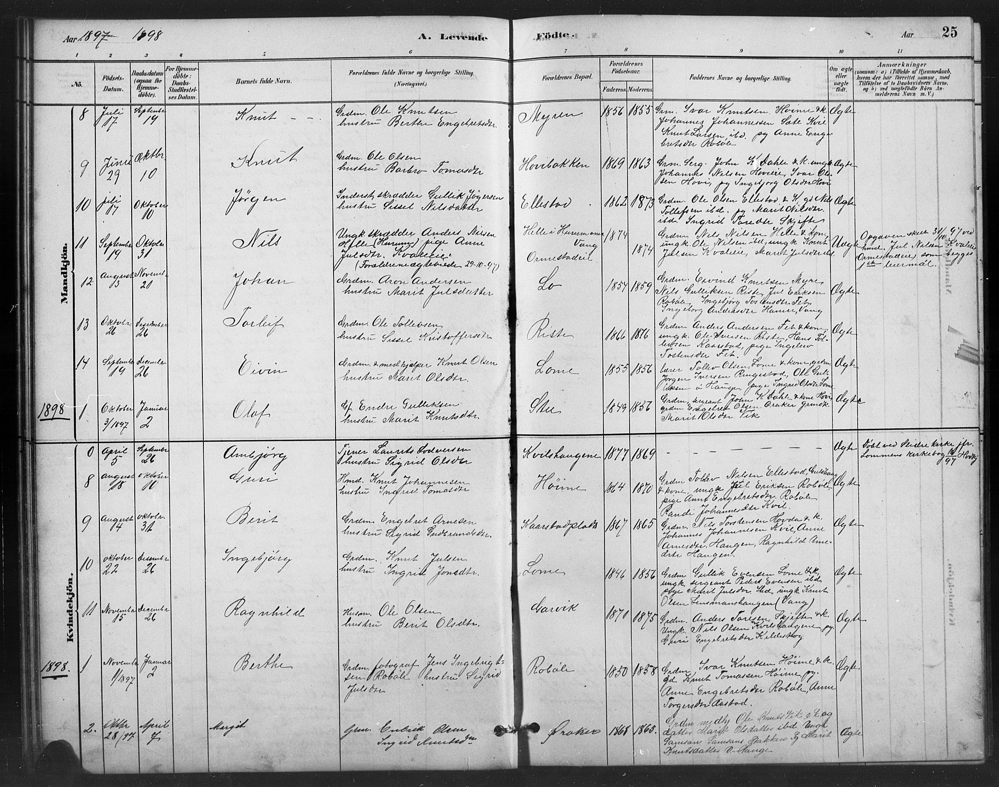 Vestre Slidre prestekontor, SAH/PREST-136/H/Ha/Hab/L0006: Parish register (copy) no. 6, 1881-1915, p. 25