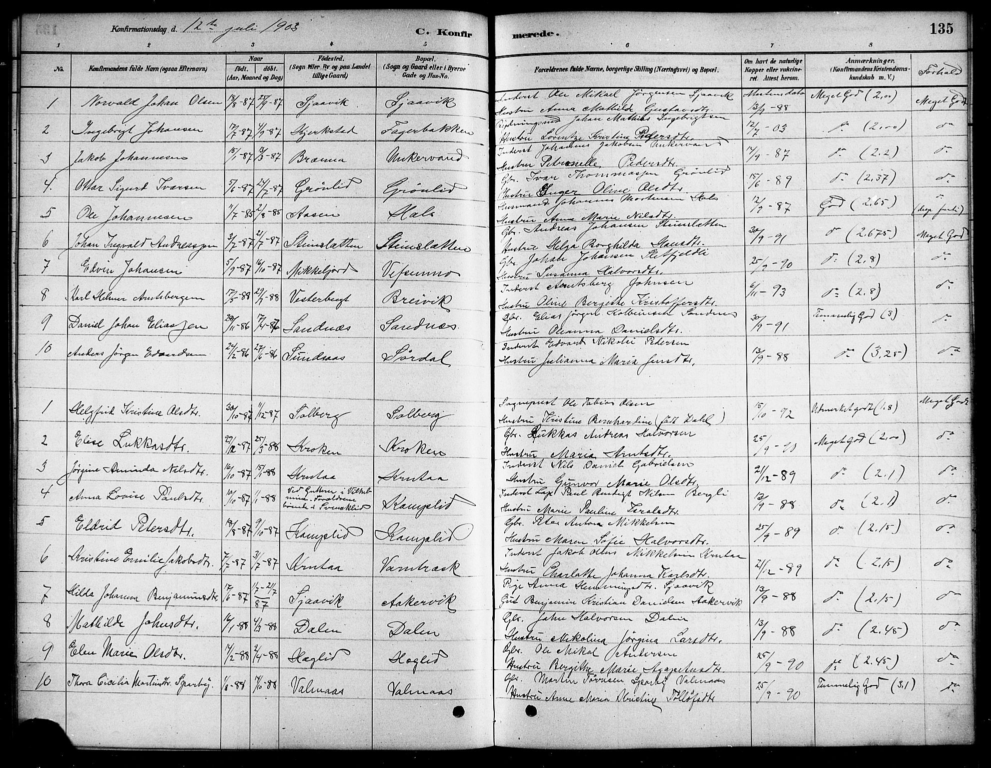 Ministerialprotokoller, klokkerbøker og fødselsregistre - Nordland, SAT/A-1459/823/L0330: Parish register (copy) no. 823C02, 1879-1916, p. 135