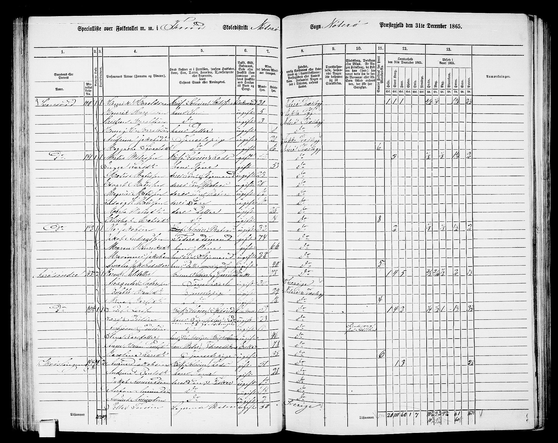 RA, 1865 census for Nøtterøy, 1865, p. 110