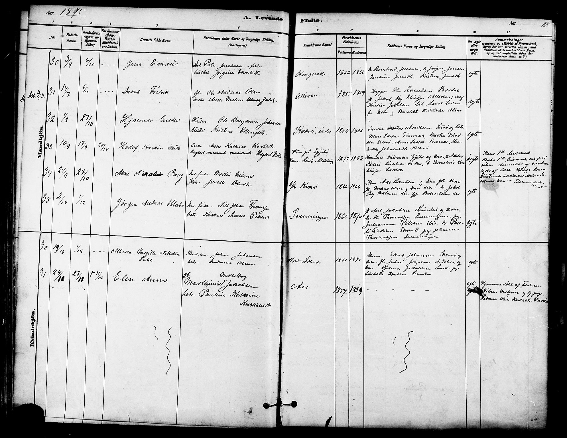 Ministerialprotokoller, klokkerbøker og fødselsregistre - Nordland, AV/SAT-A-1459/839/L0568: Parish register (official) no. 839A05, 1880-1902, p. 107