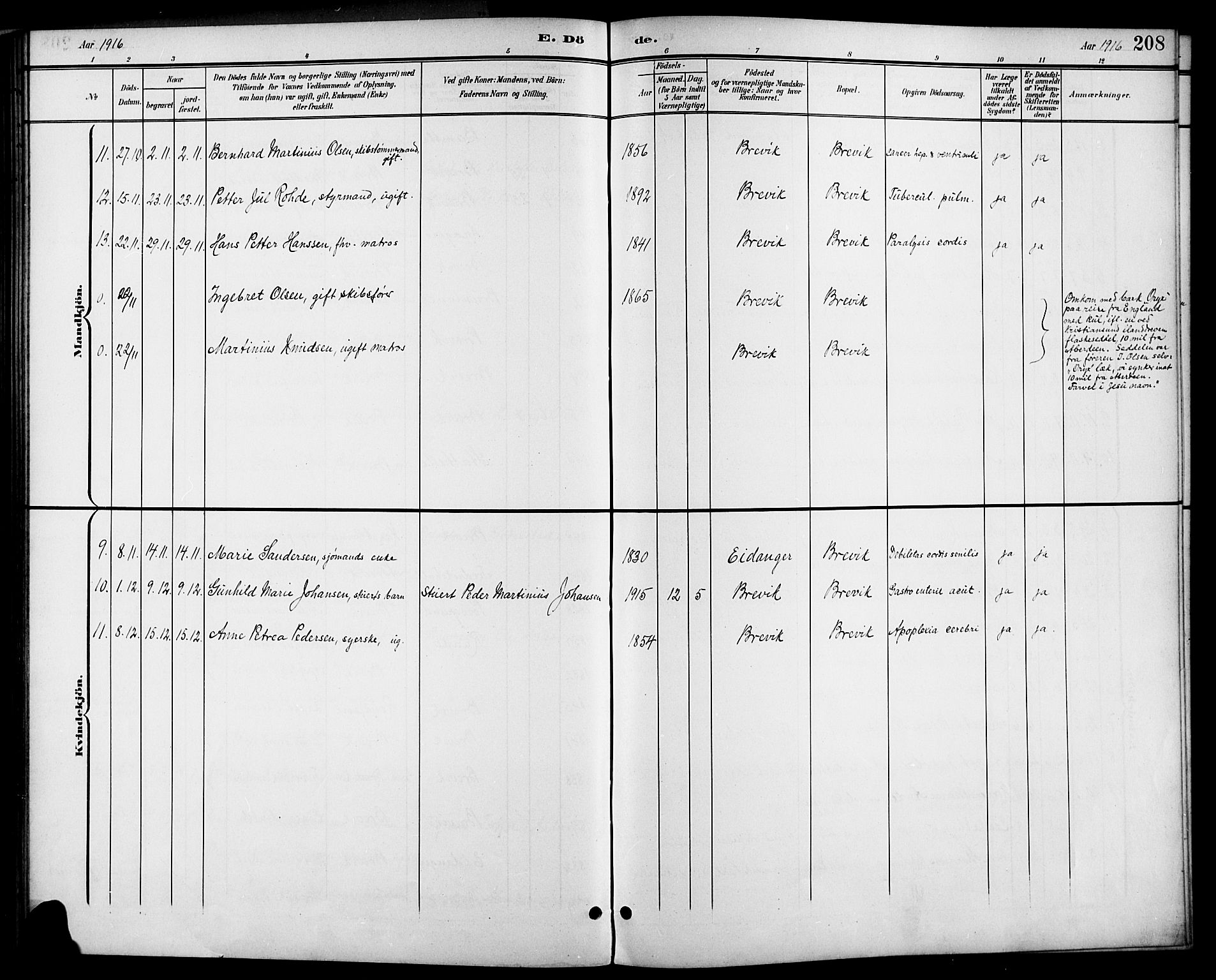 Brevik kirkebøker, AV/SAKO-A-255/G/Ga/L0005: Parish register (copy) no. 5, 1901-1924, p. 208