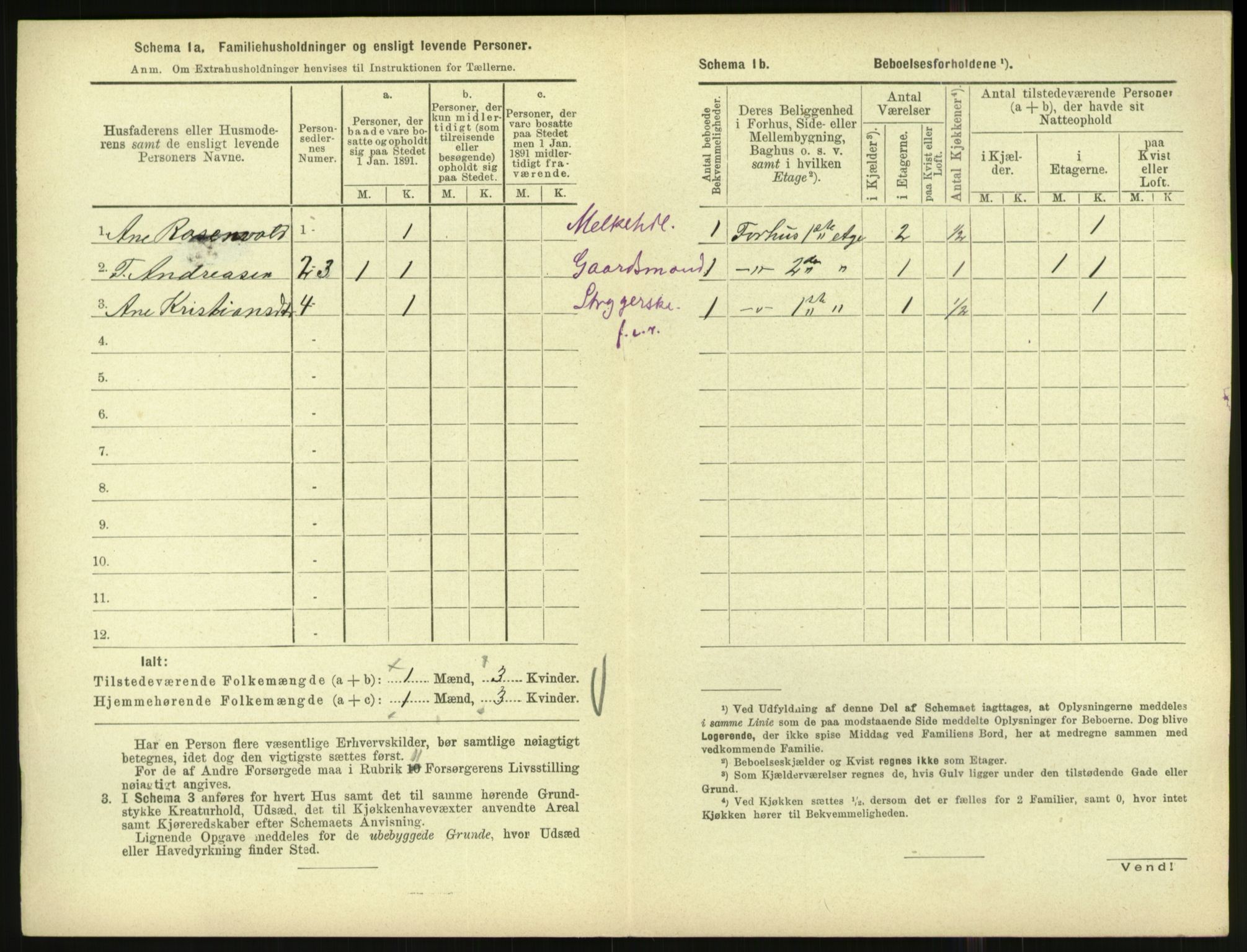 RA, 1891 census for 1001 Kristiansand, 1891, p. 1699