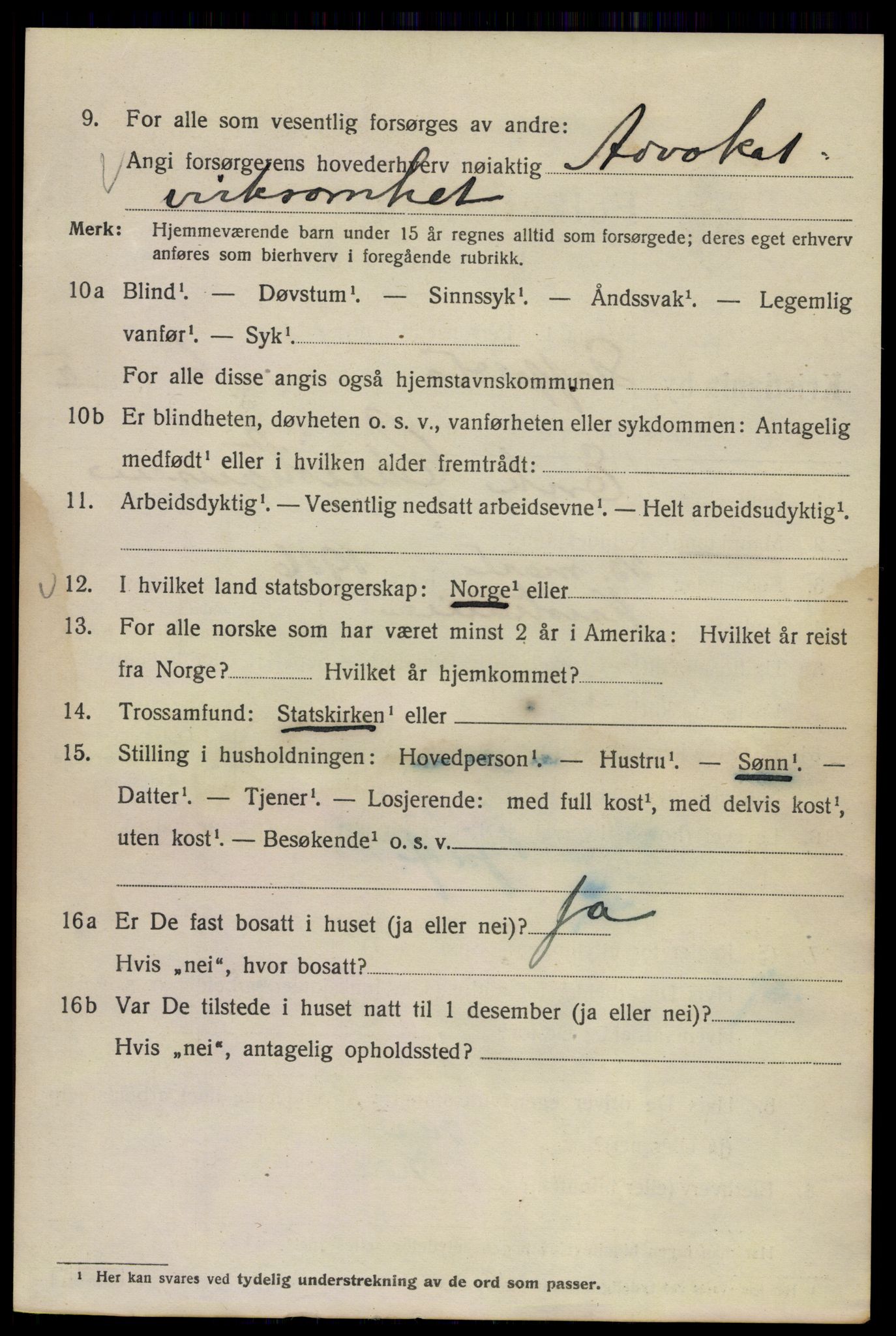 SAO, 1920 census for Kristiania, 1920, p. 536180