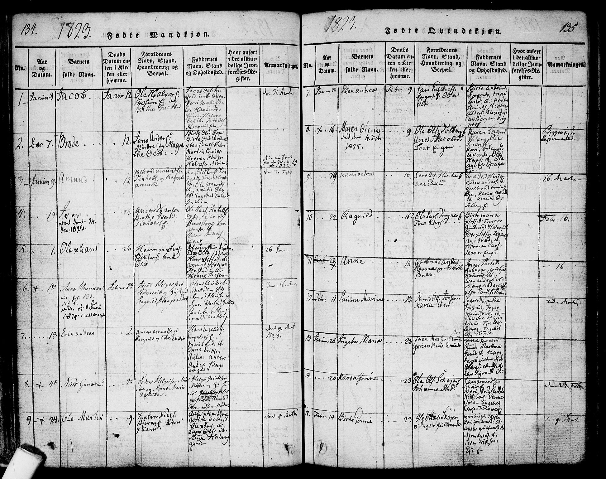 Nes prestekontor Kirkebøker, SAO/A-10410/F/Fa/L0005: Parish register (official) no. I 5, 1815-1835, p. 134-135